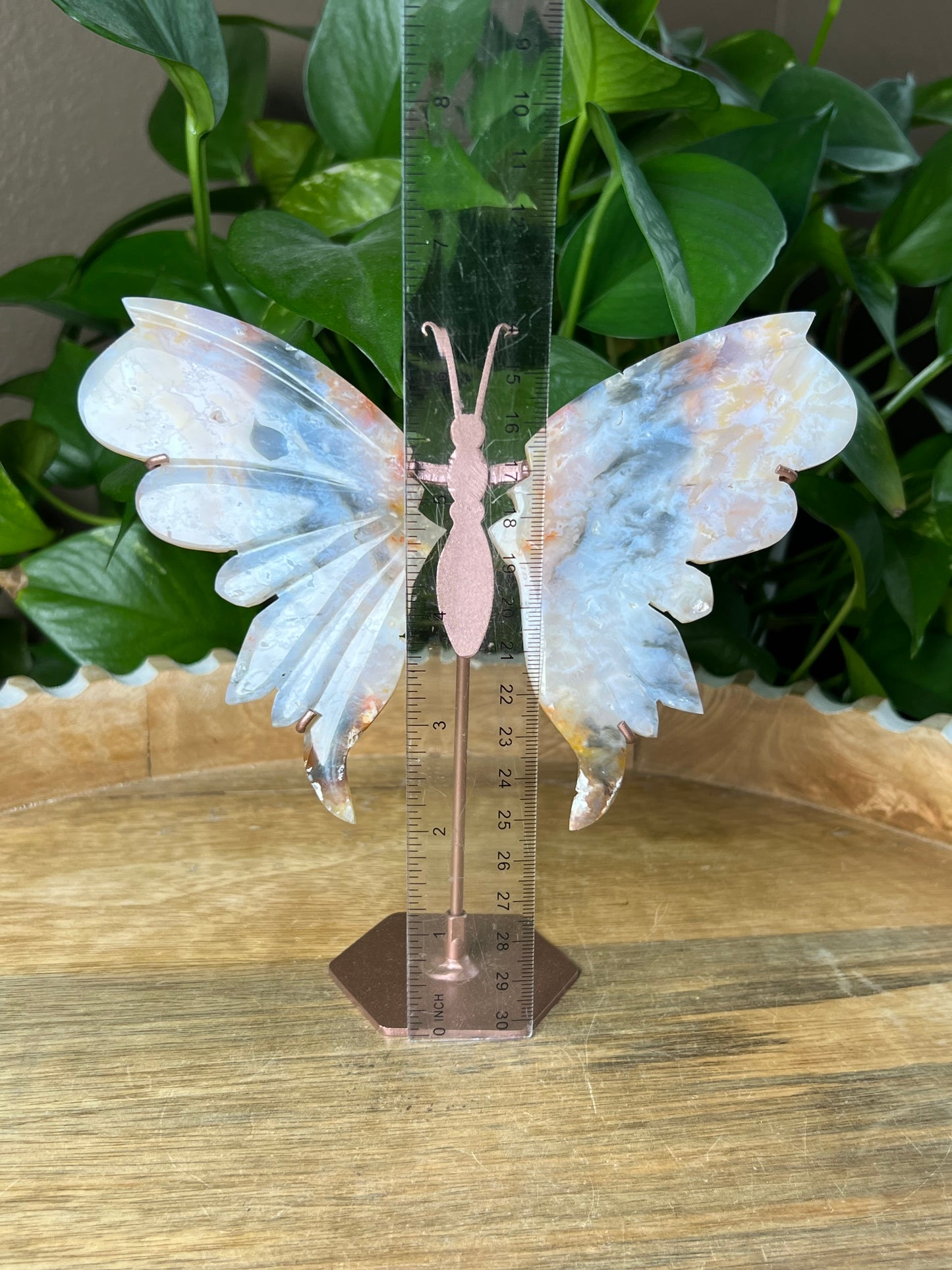 Rainbow Plume Agate Wings