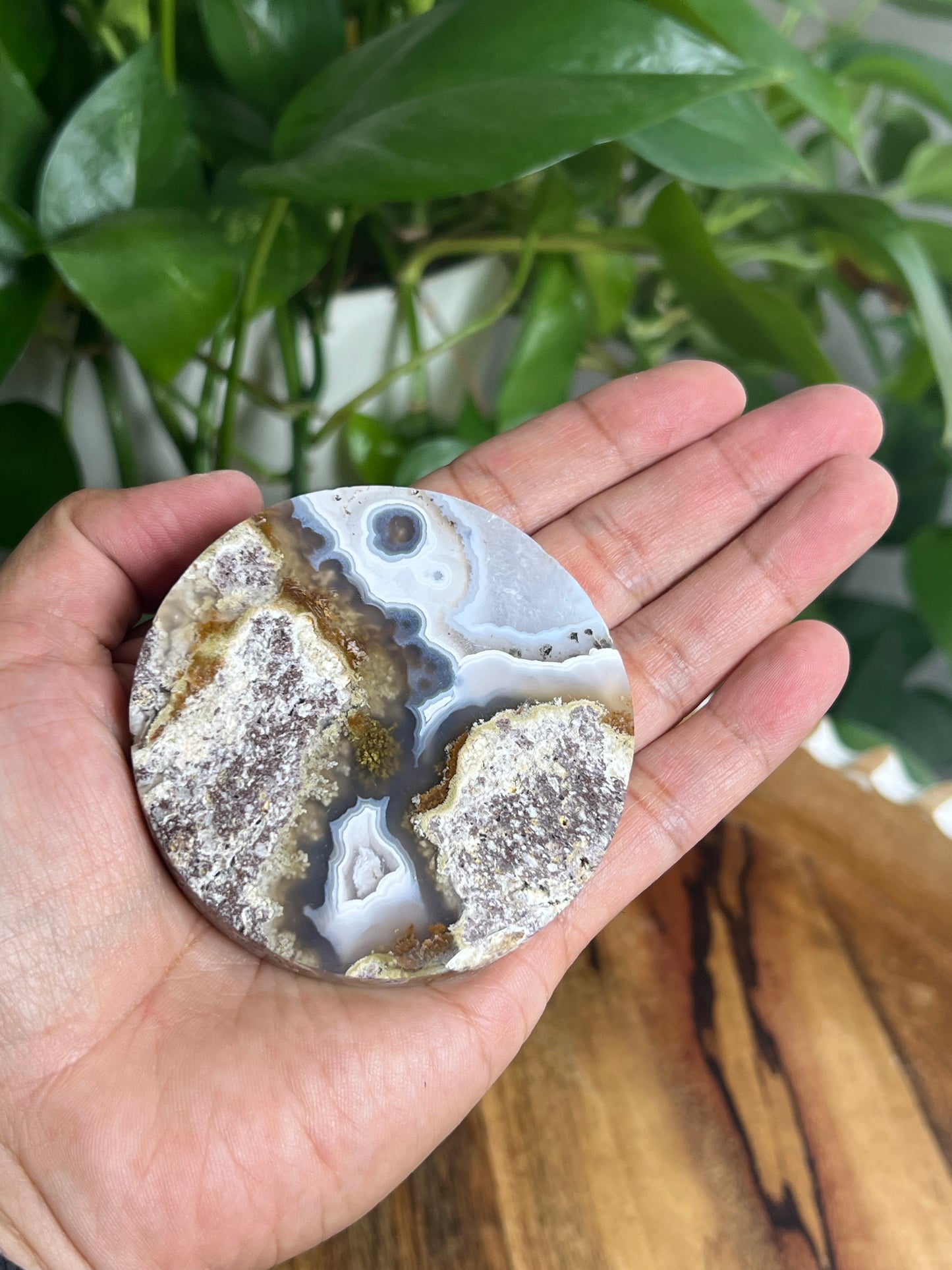 Scenic Moss Agate Coaster: AS