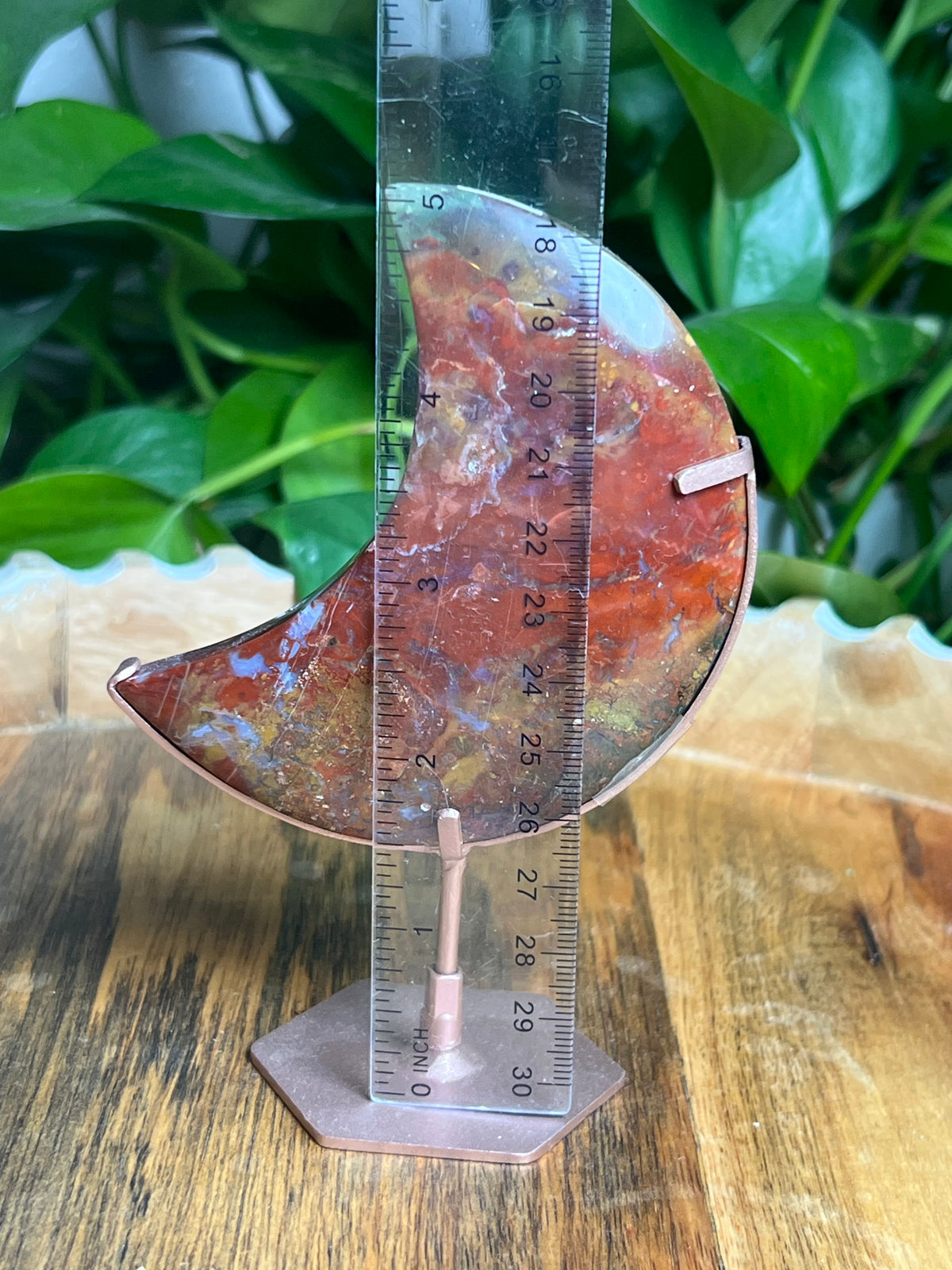 River Jasper Moon: Ci