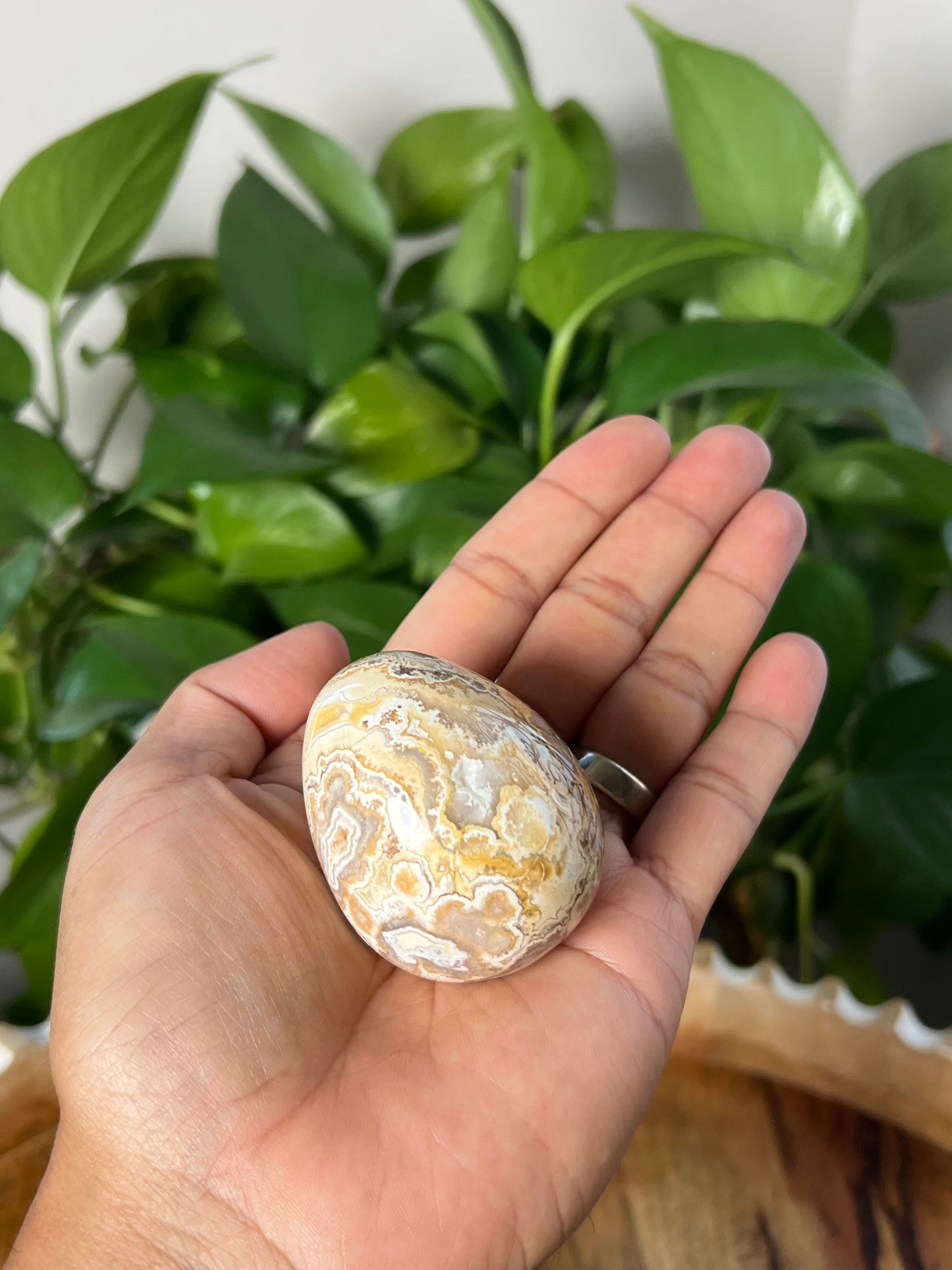 Crazy Lace Agate Egg