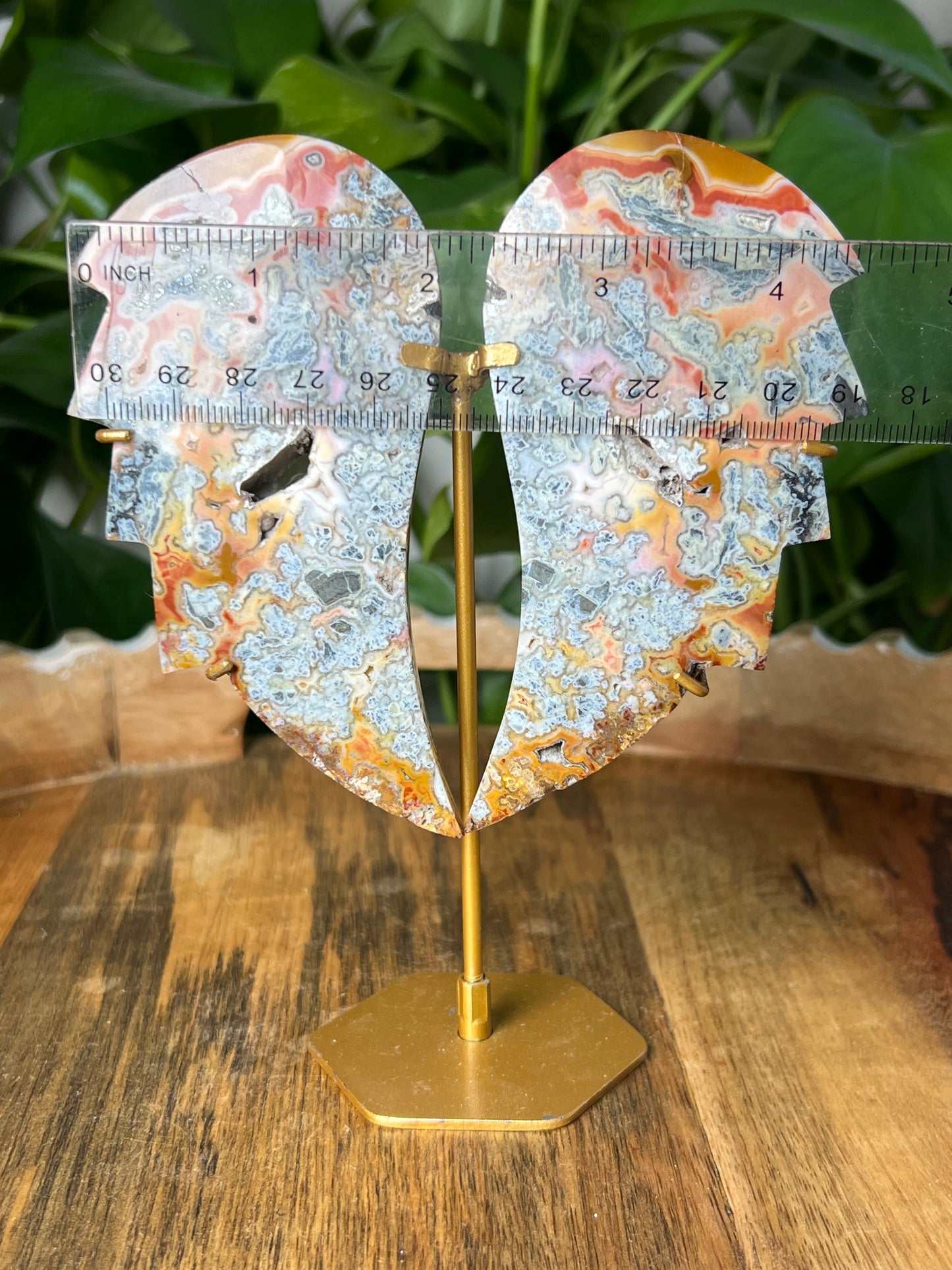 Marcasite Wings