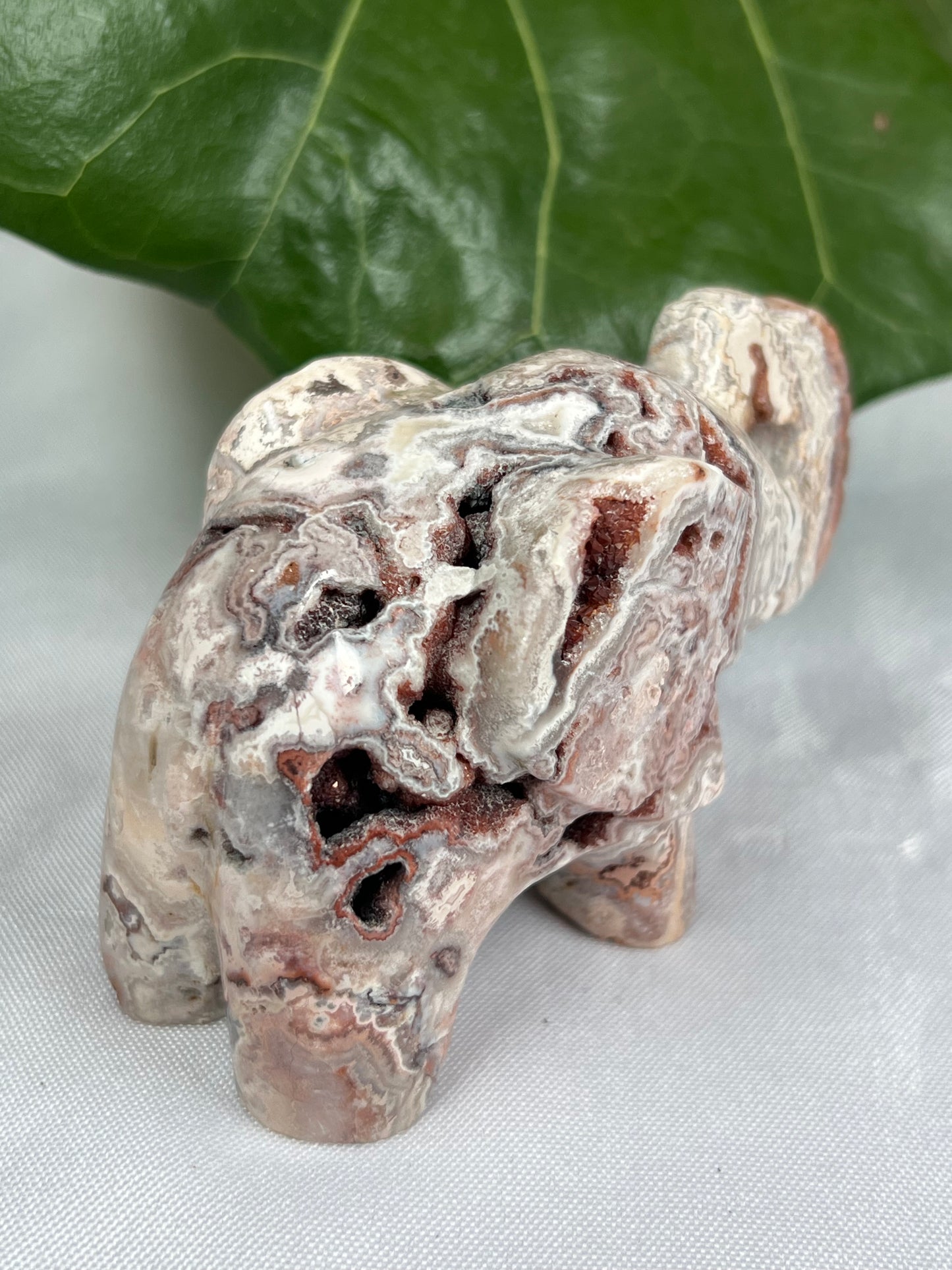 Crazy Lace Agate Elephant