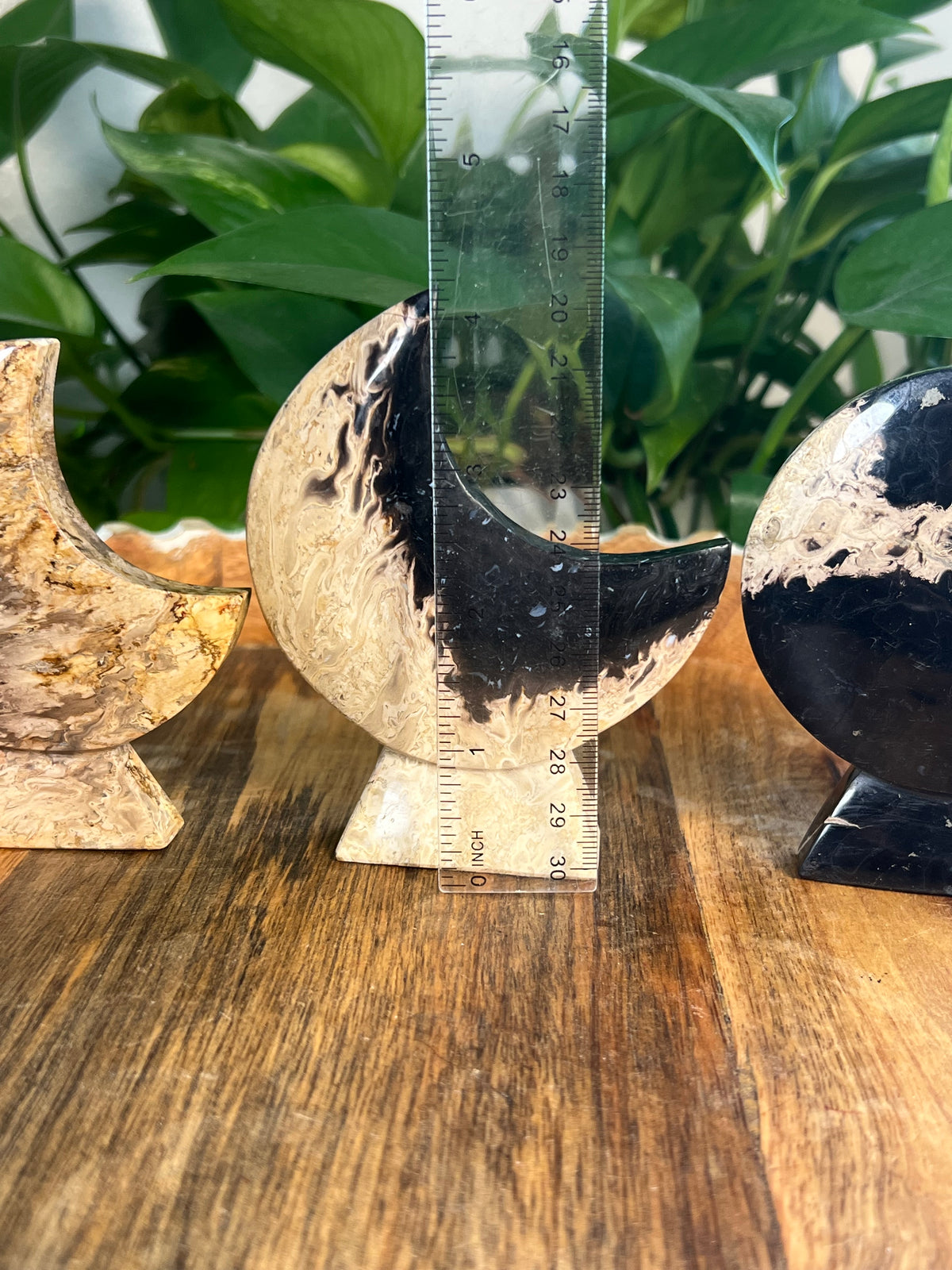 Palm Root Self Standing Moons