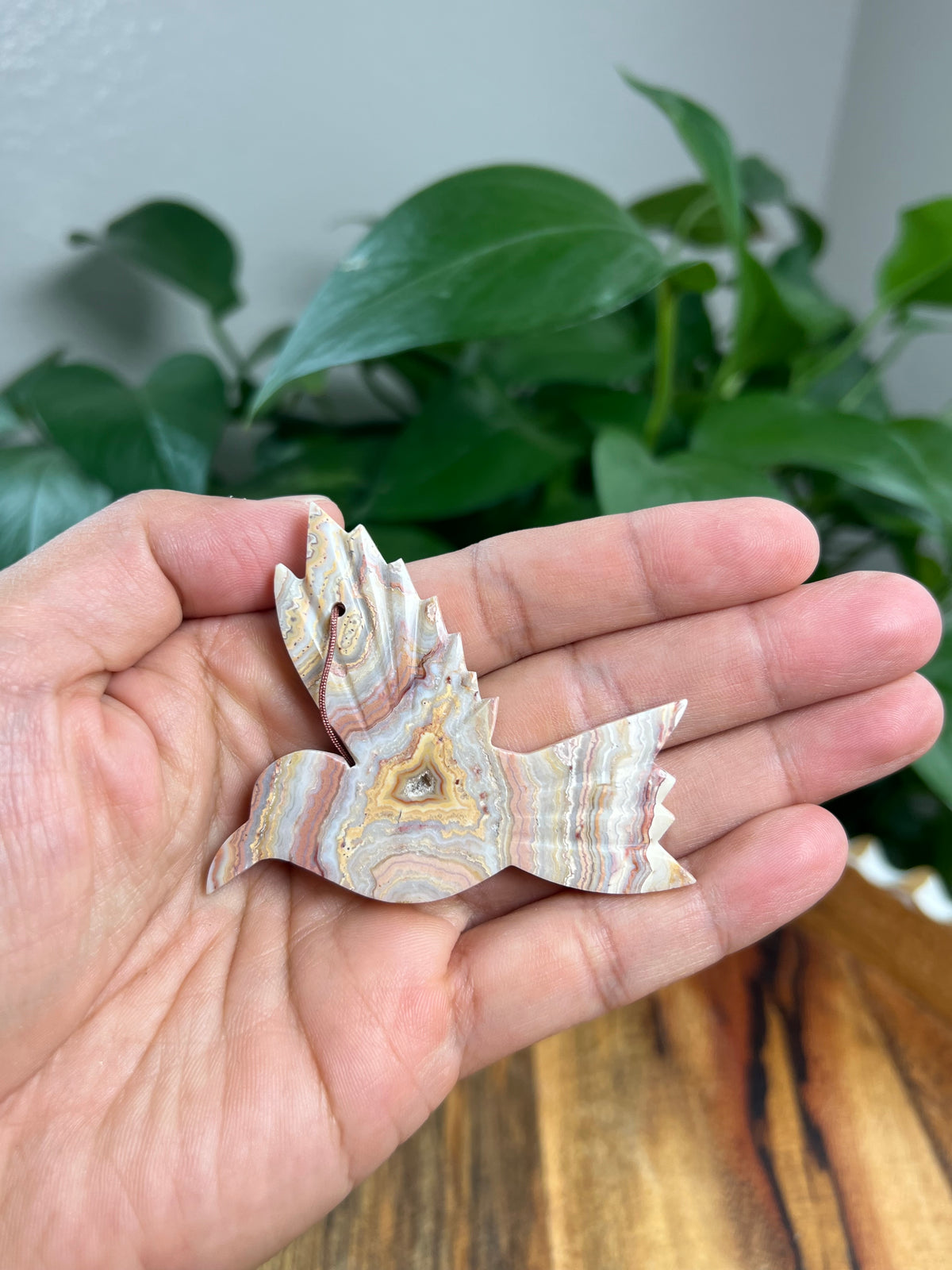 Crazy Lace Agate Ornament Hummingbird: C