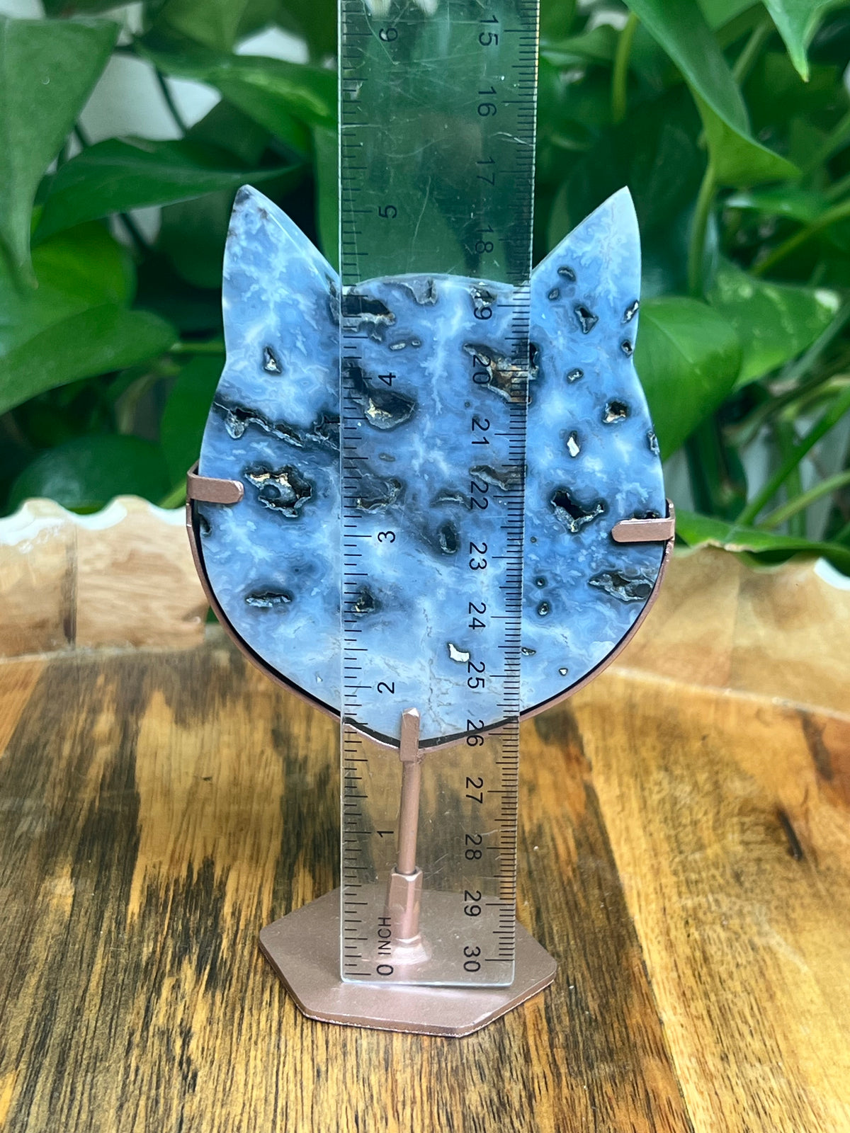Blue Plume Agate Cat Head: RA