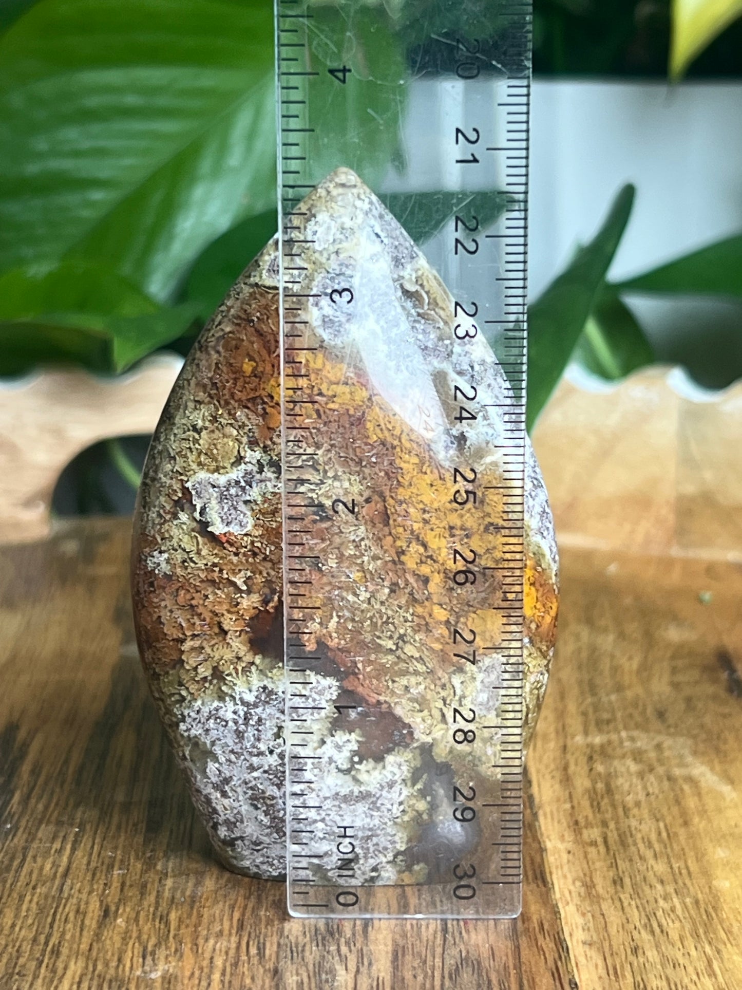 Scenic Moss Agate Flame XB
