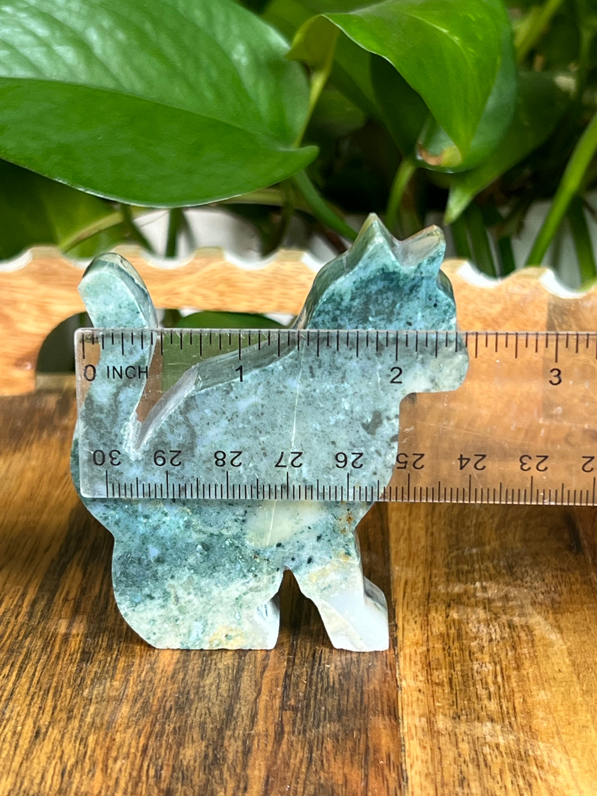 Blue Green Jasper Cats