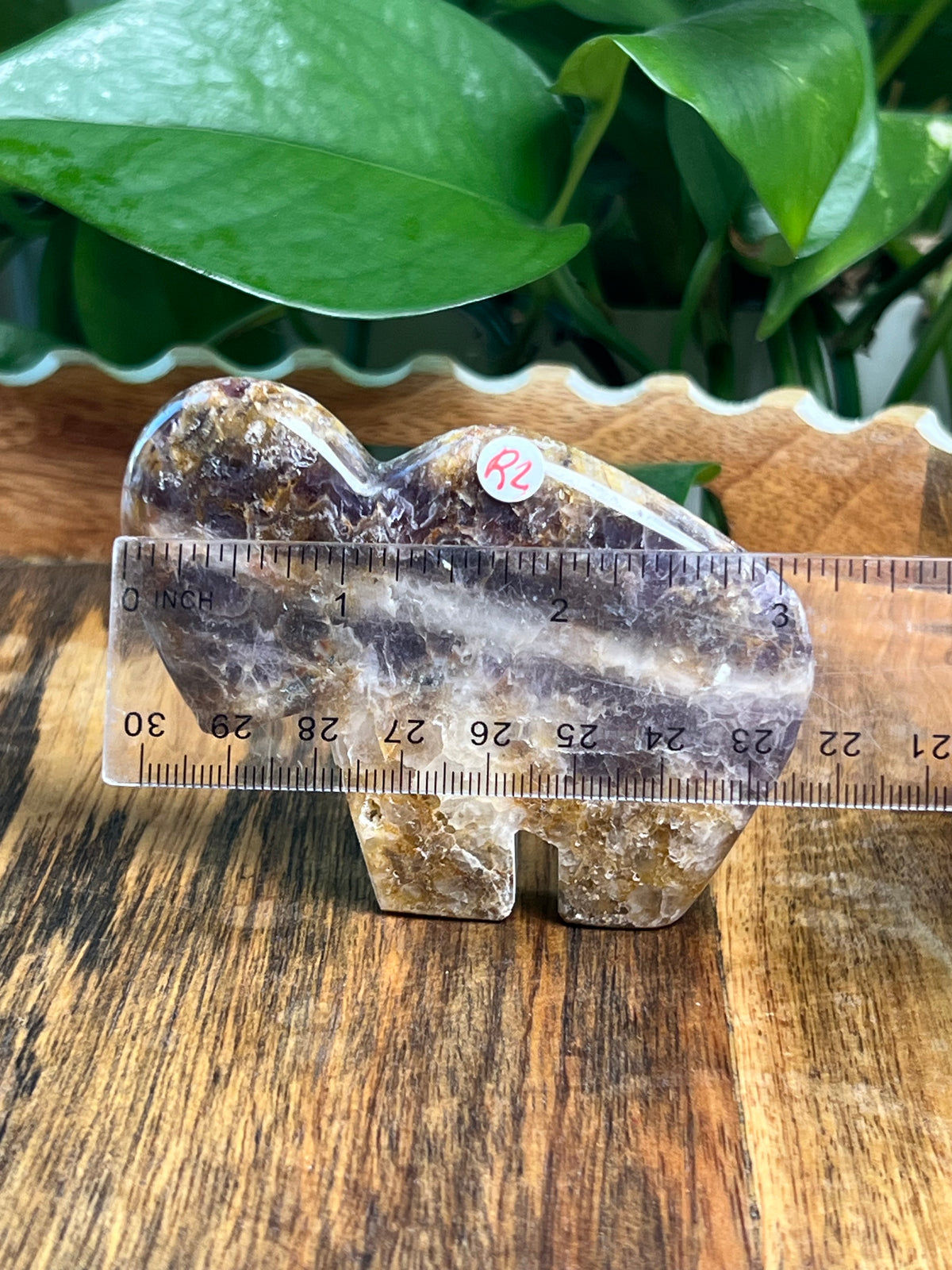 Indonesian Amethyst Buffalos