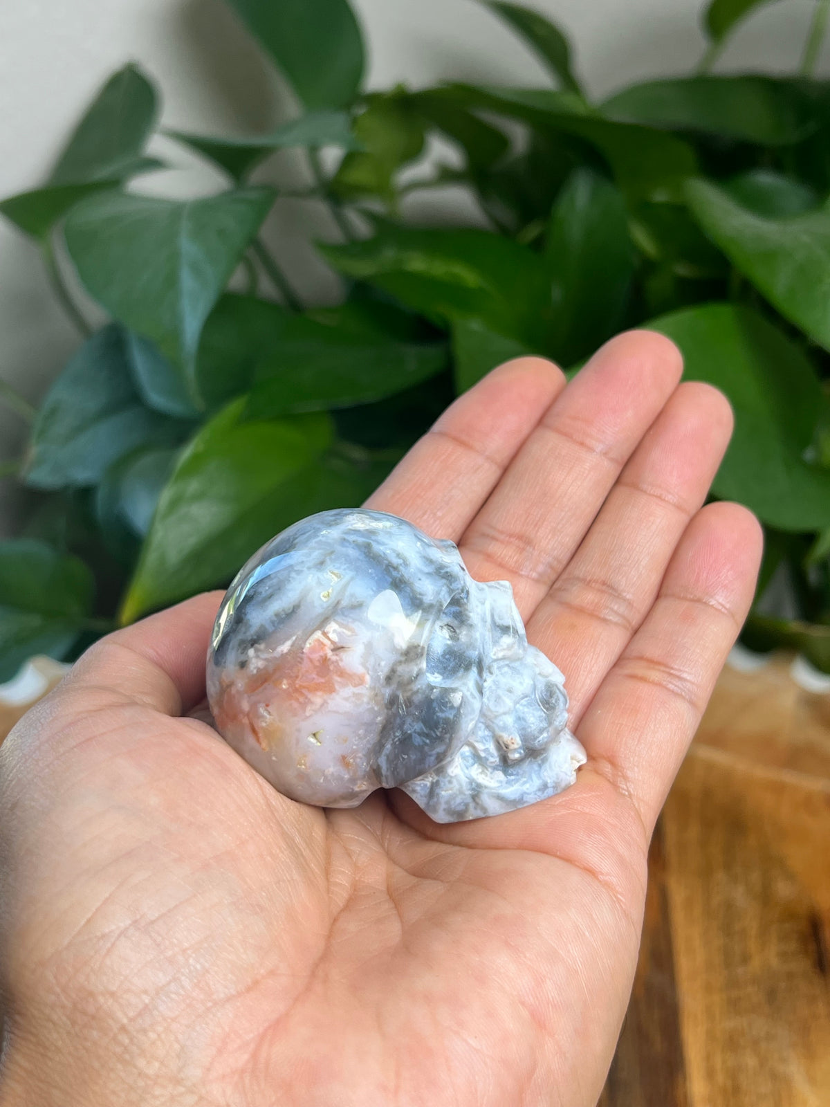 Rainbow Plume Agate Mini Skull: DB