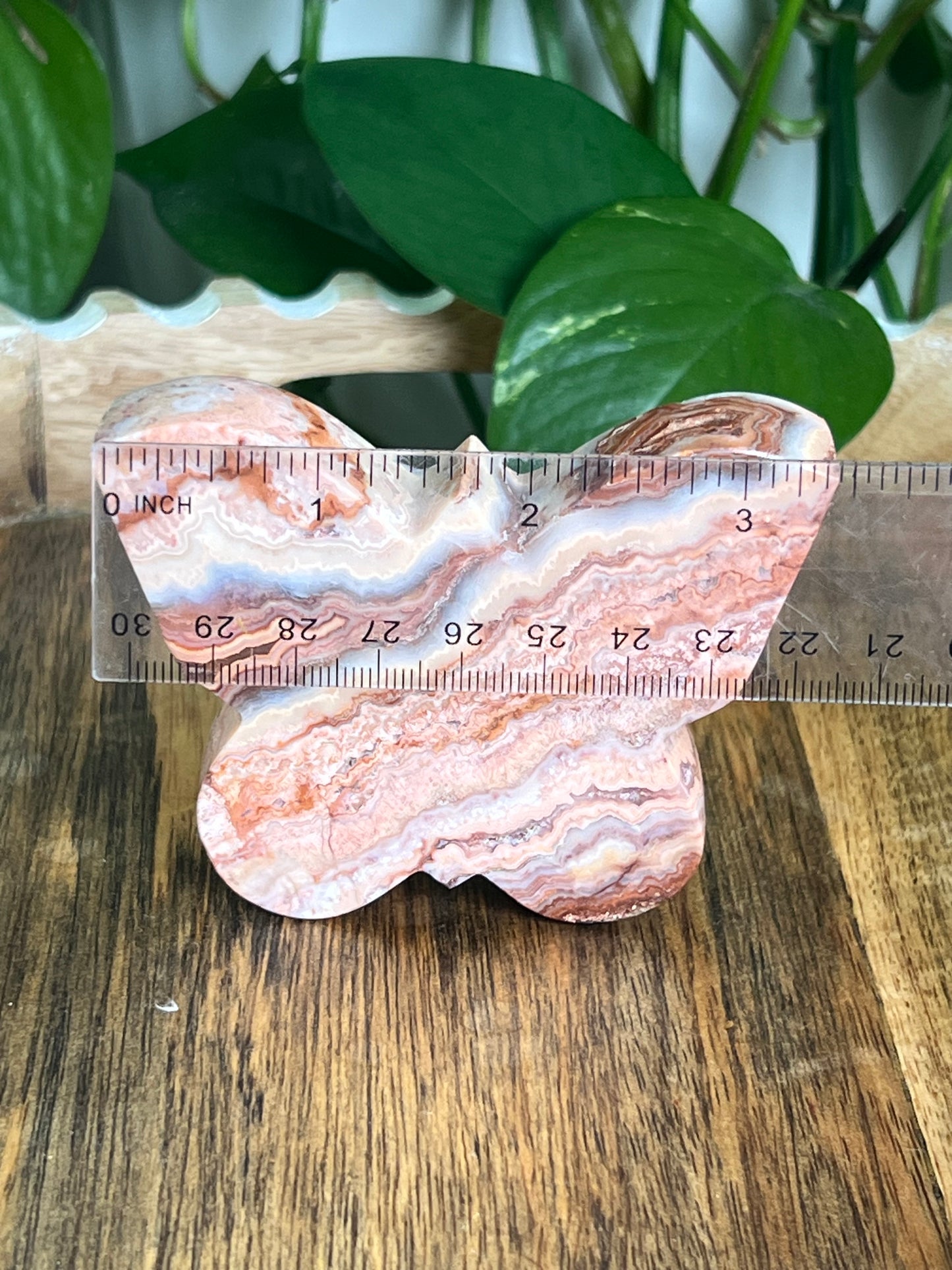 Crazy Lace Agate Butterfly: E
