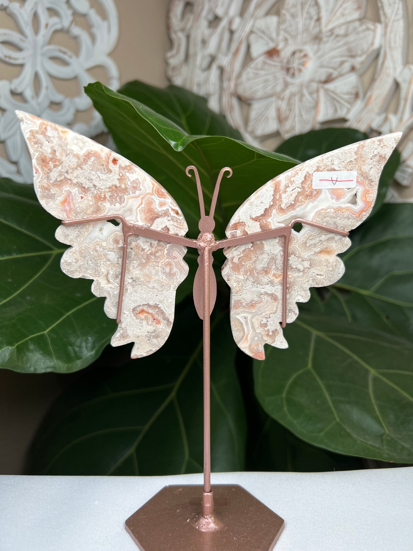 Crazy Lace Agate Wings