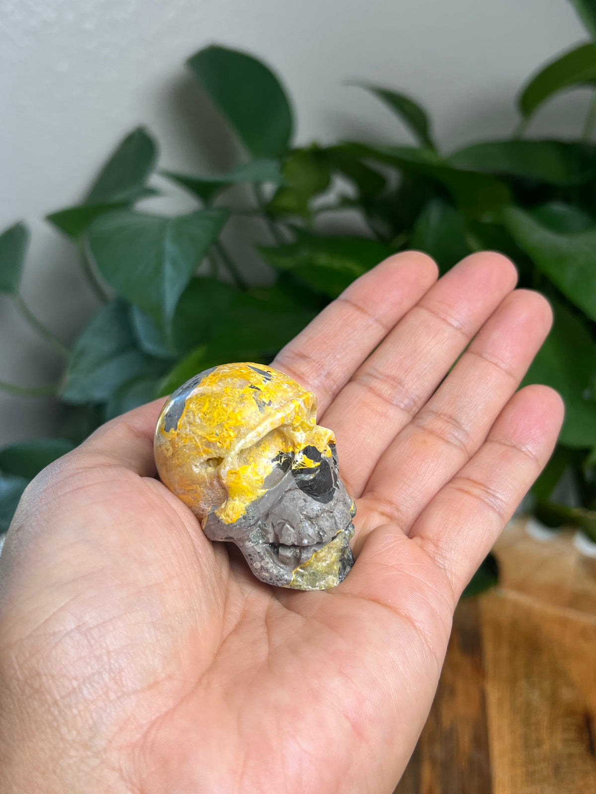 Bumblebee Jasper Mini Skull: G