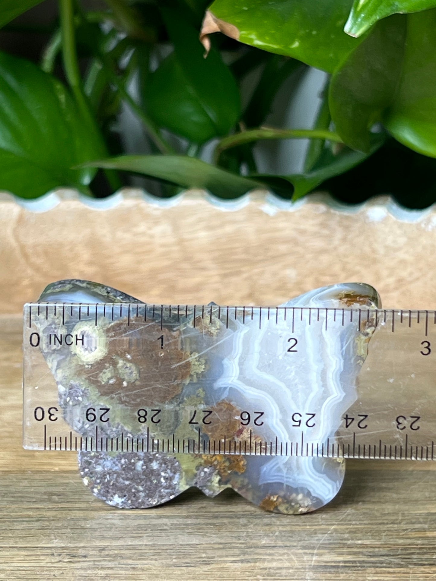 Scenic Moss Agate Butterfly
