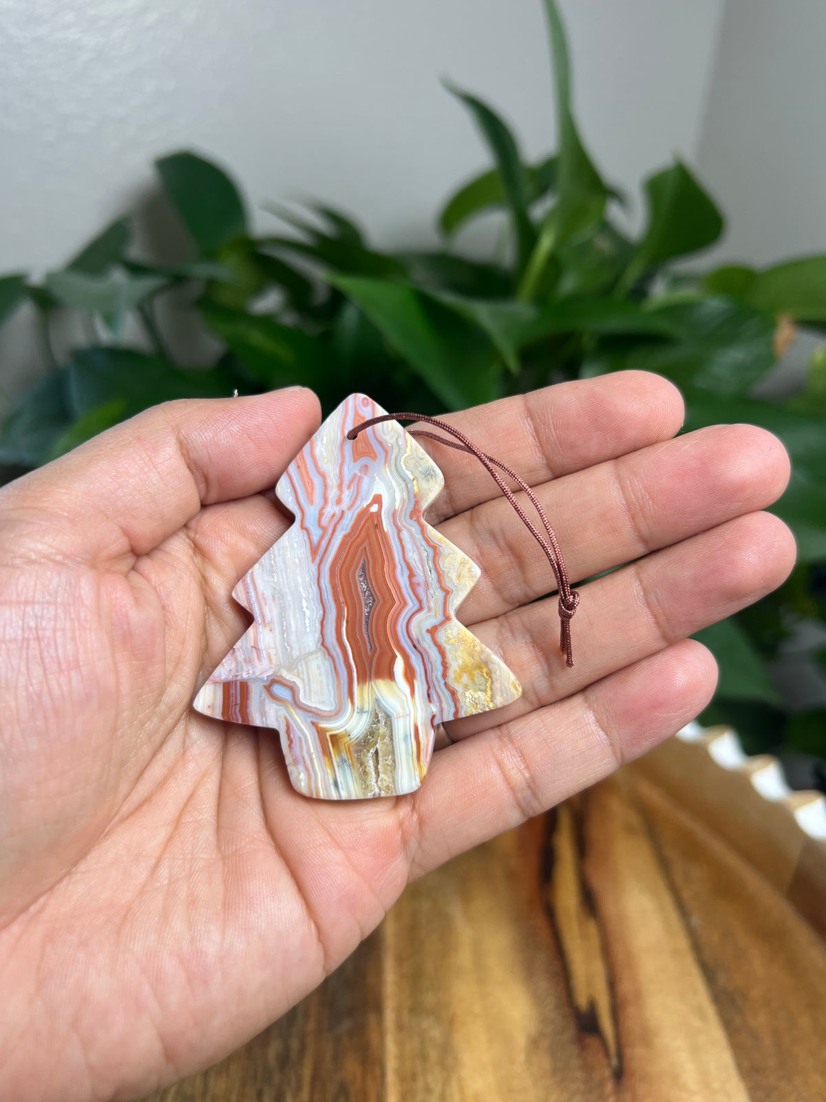 Crazy Lace Agate Ornament Tree: LA