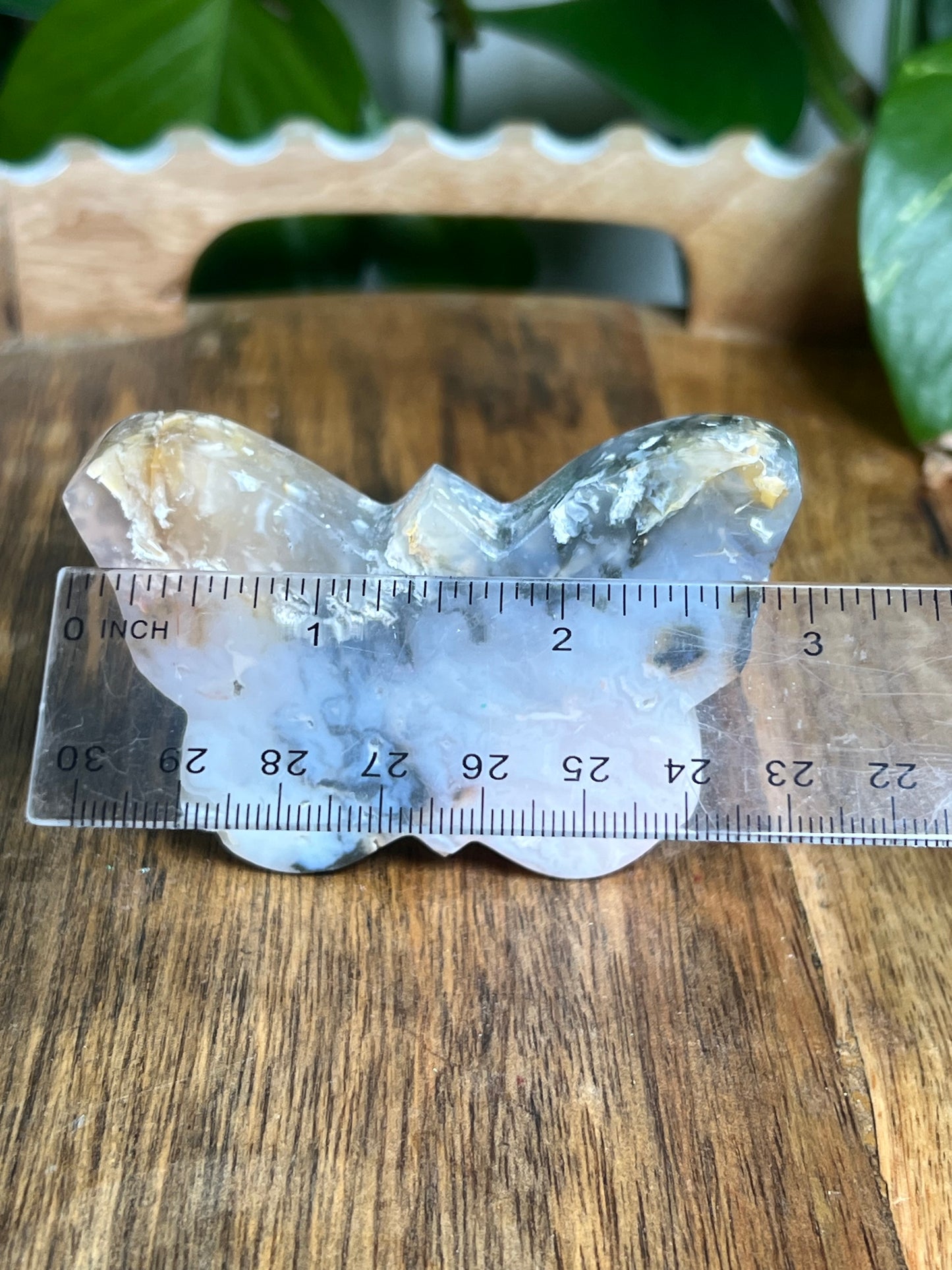Rainbow Plume Agate Butterfly RD