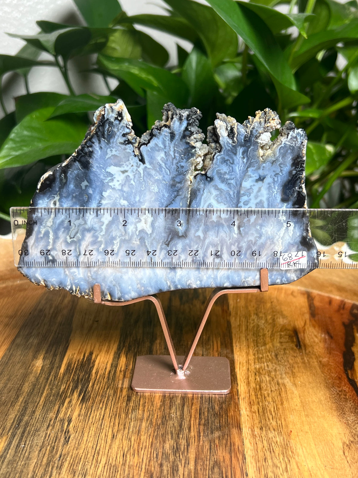 Blue Plume Agate Slab: RK