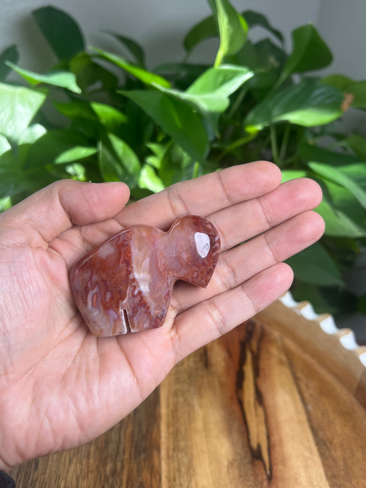 Carnelian Mini Buffalo: BB