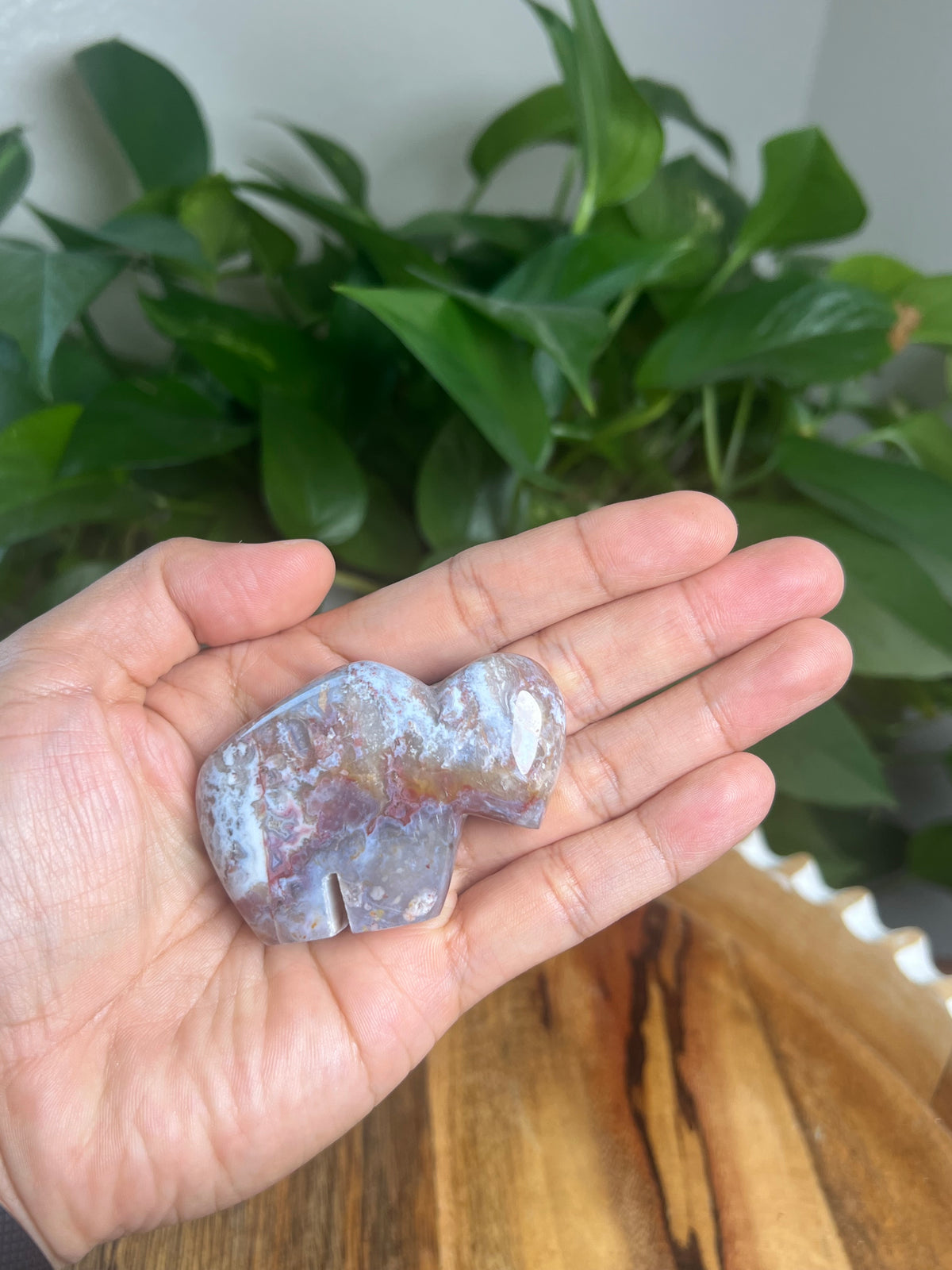 Sumatra Plume Agate Mini Buffalo: DC