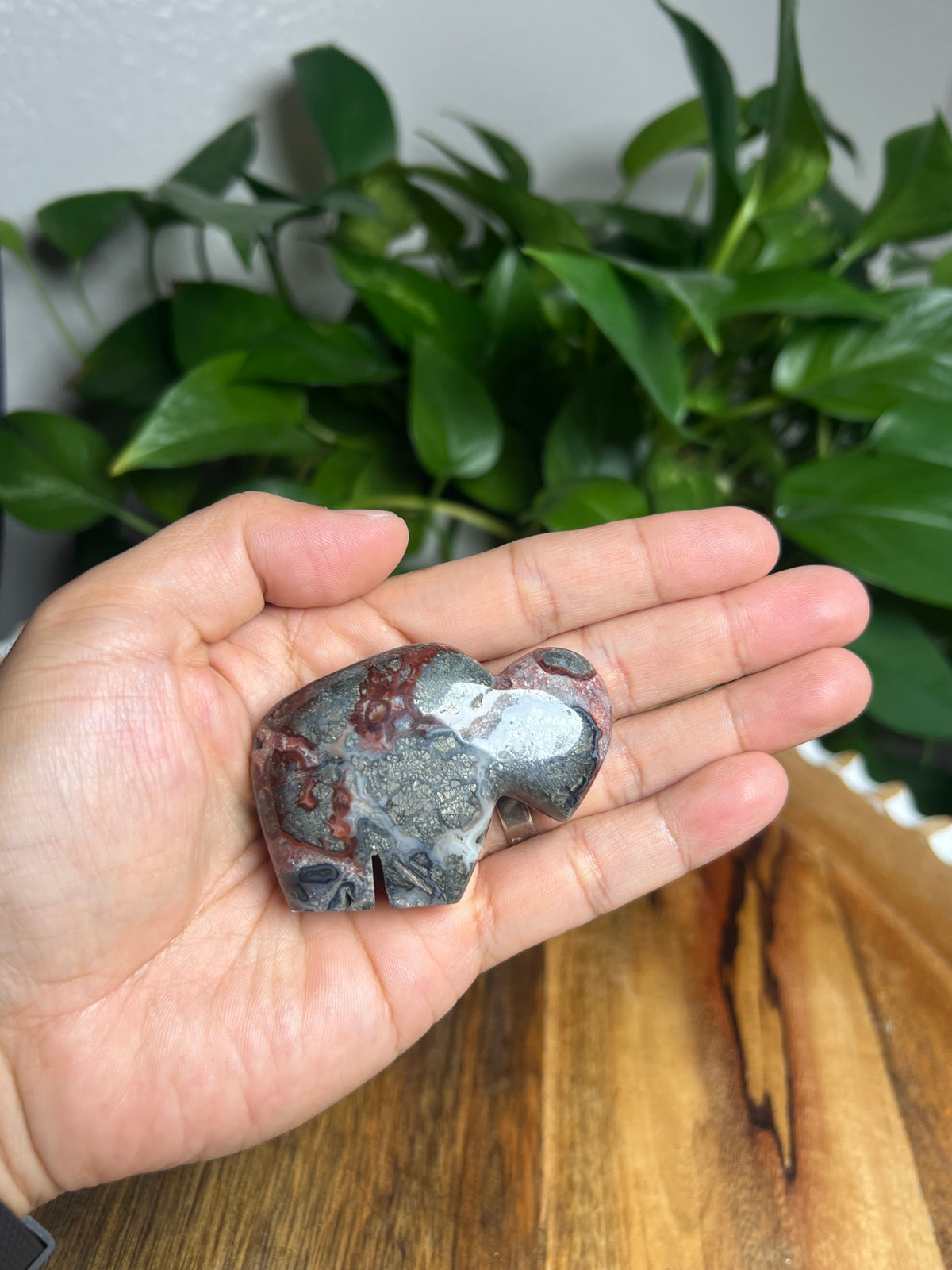 Marcasite Mini Buffalo: MN