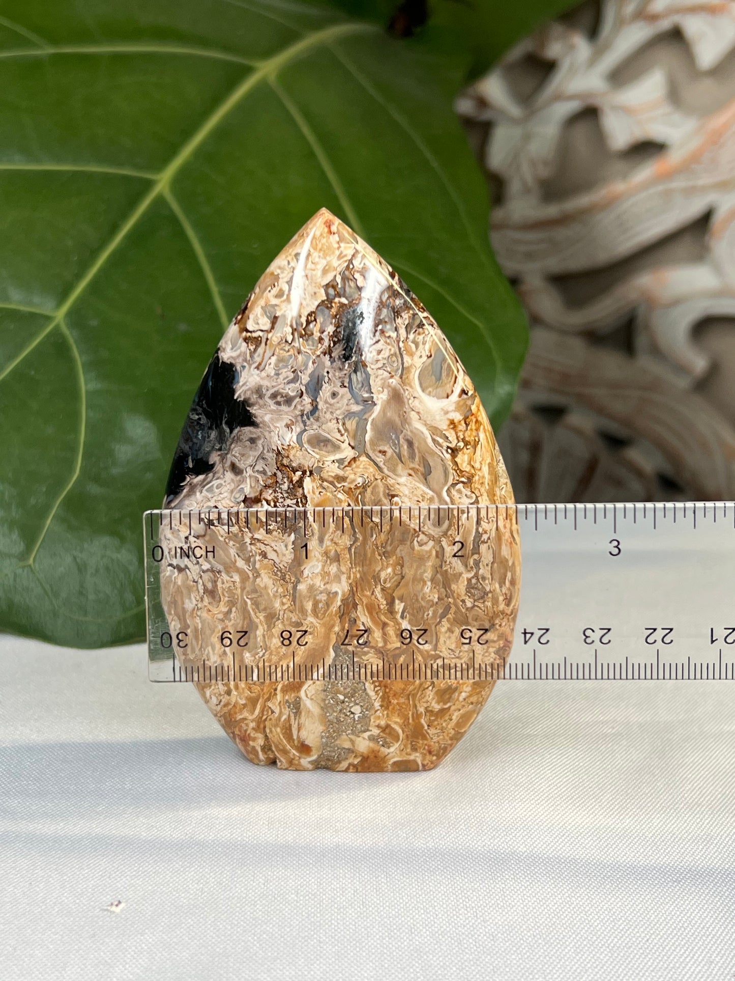 Palm Root Flame