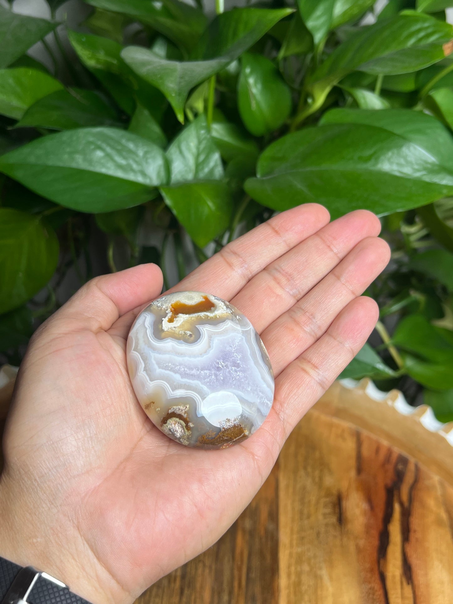 Scenic Moss Agate Palmstone: BC