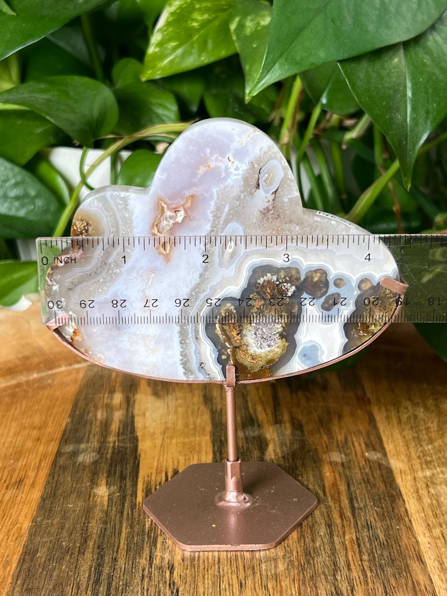 Scenic Moss Agate Cloud
