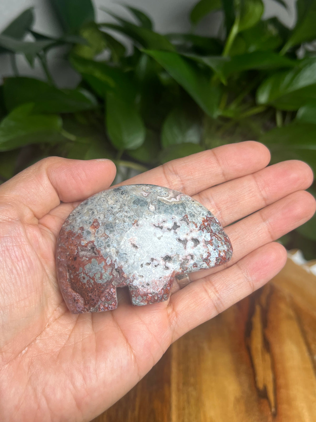 Marcasite Bear: TZ