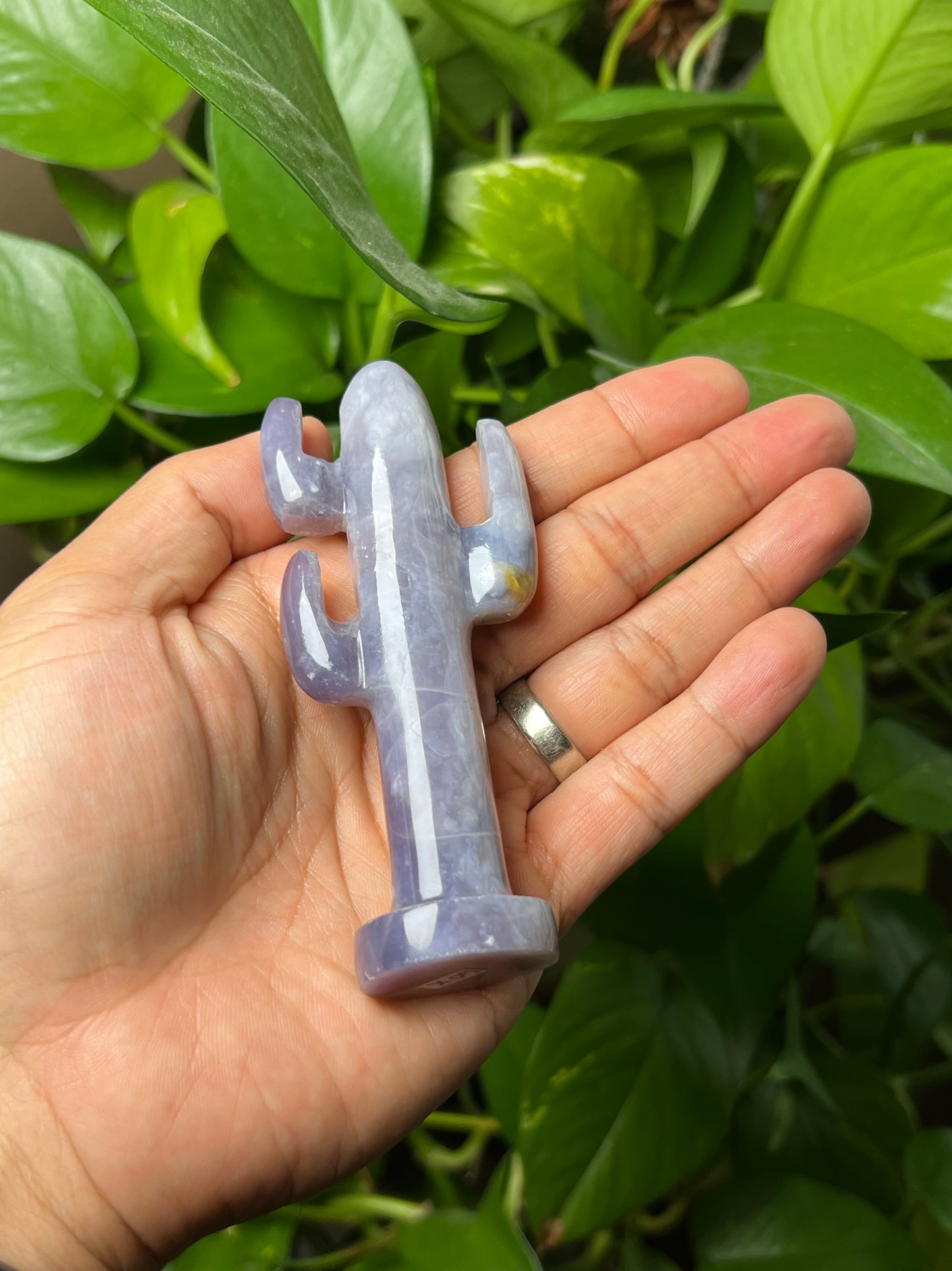 Purple Chalcedony Cactus