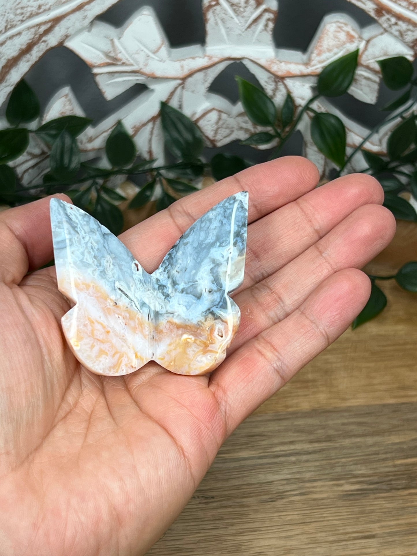 Rainbow Plume Agate 3D Butterfly