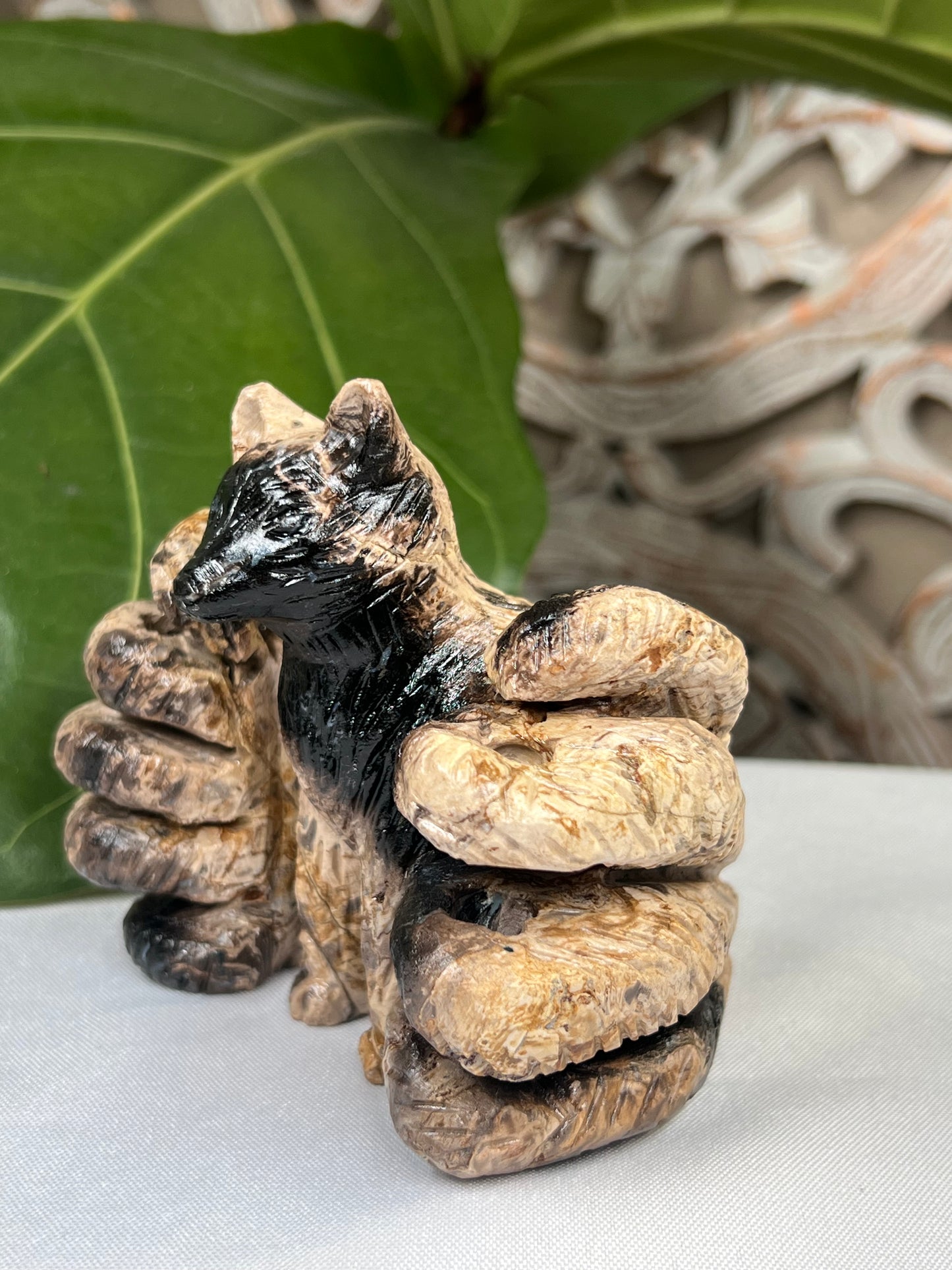 Palm Root 9 tails Fox
