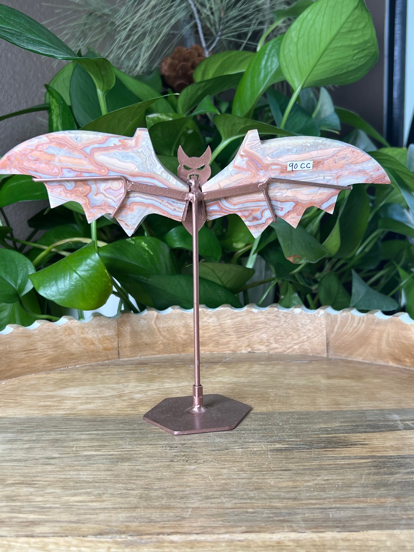 Crazy Lace Agate Bat Wings