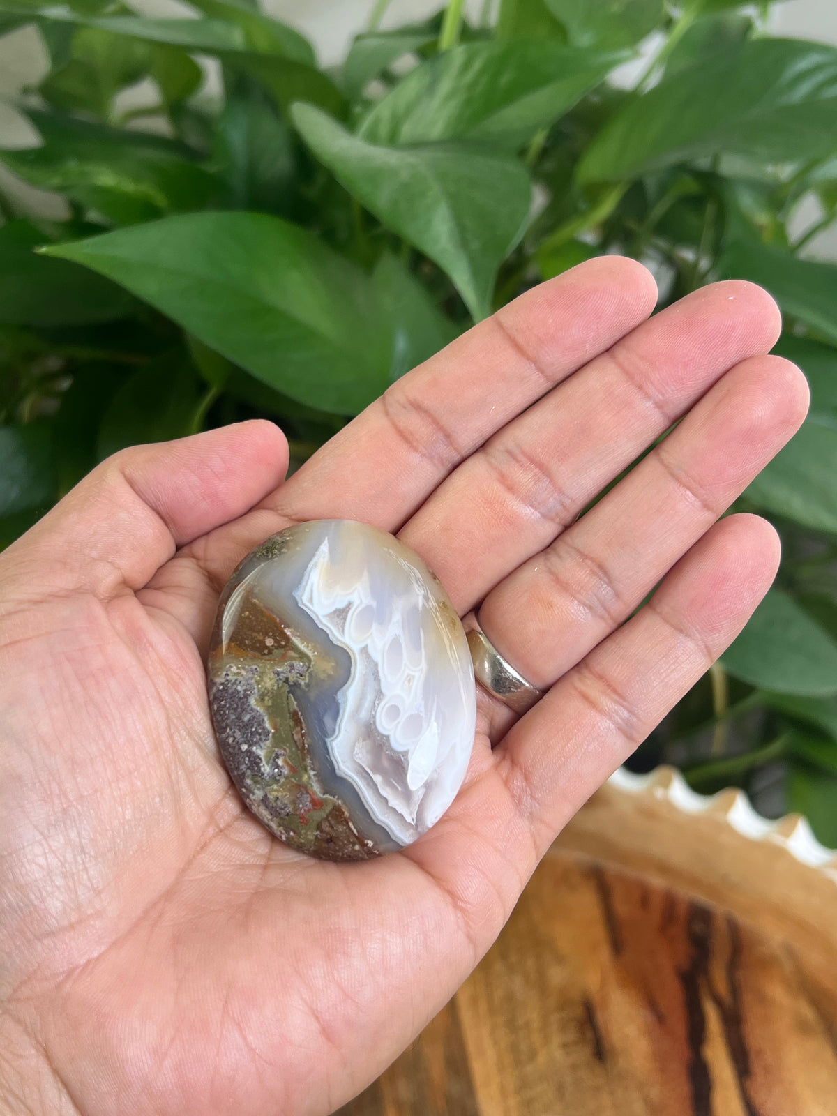 Scenic Moss Agate Palmstone: PD