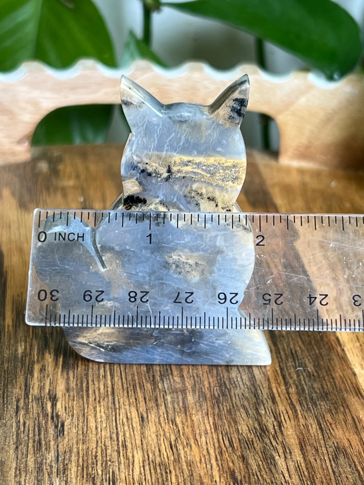 Dendritic Tiger Agate Cat AD