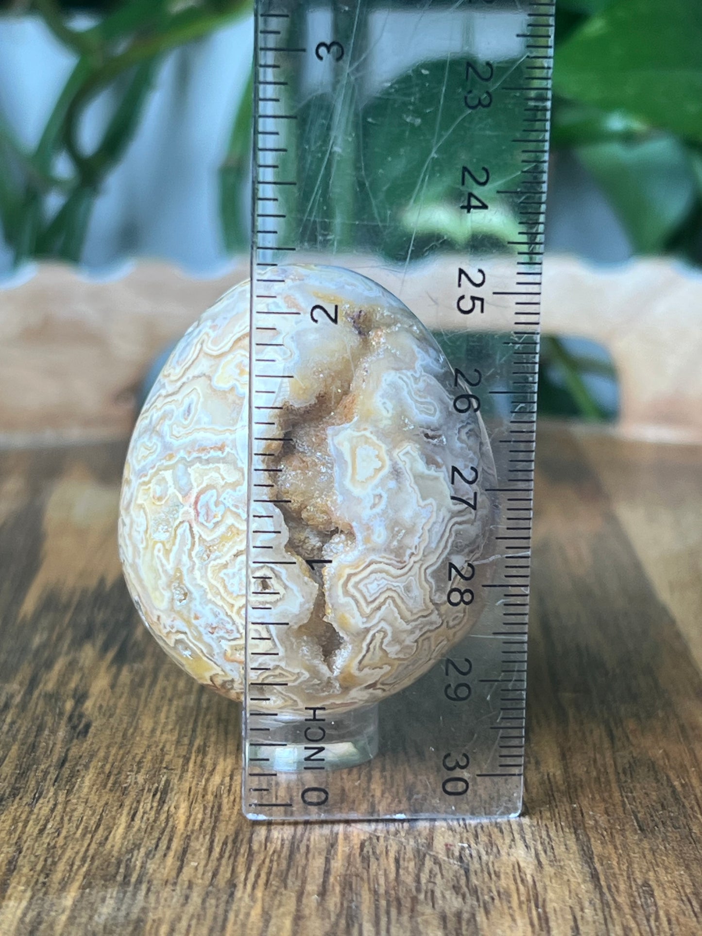 Crazy Lace Agate Egg
