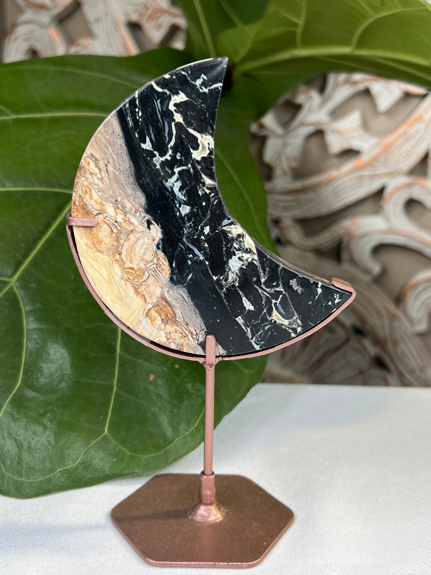 Palm Root Moon