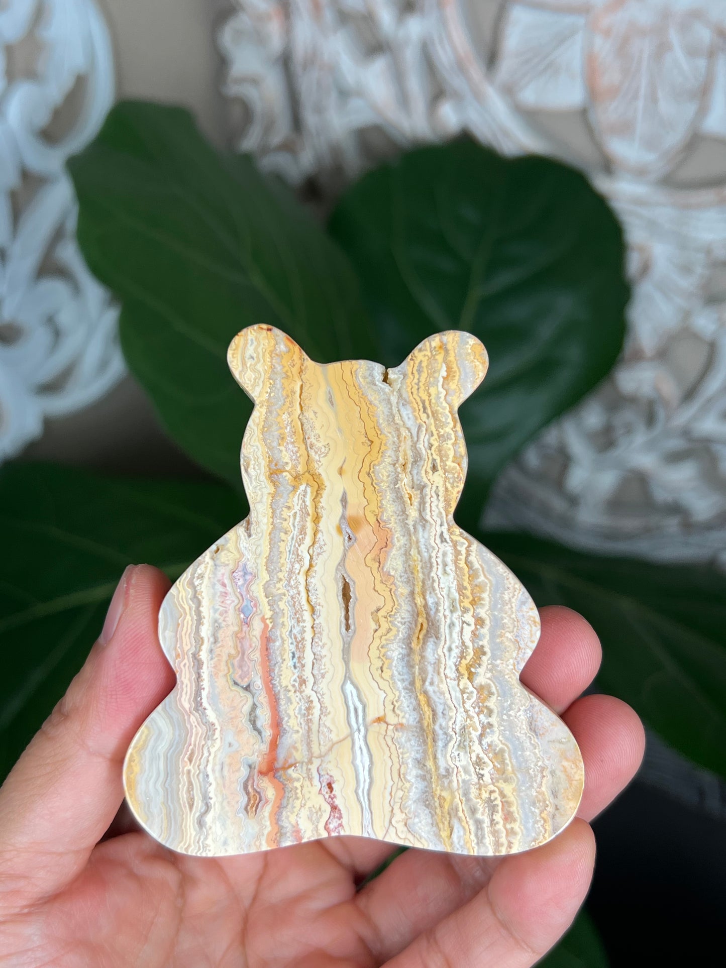 Crazy Lace Agate Bear