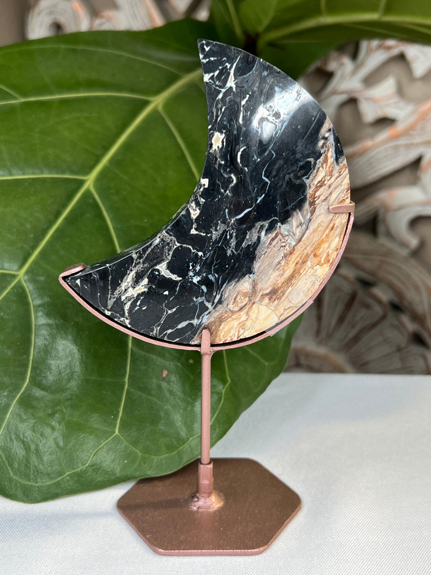 Palm Root Moon