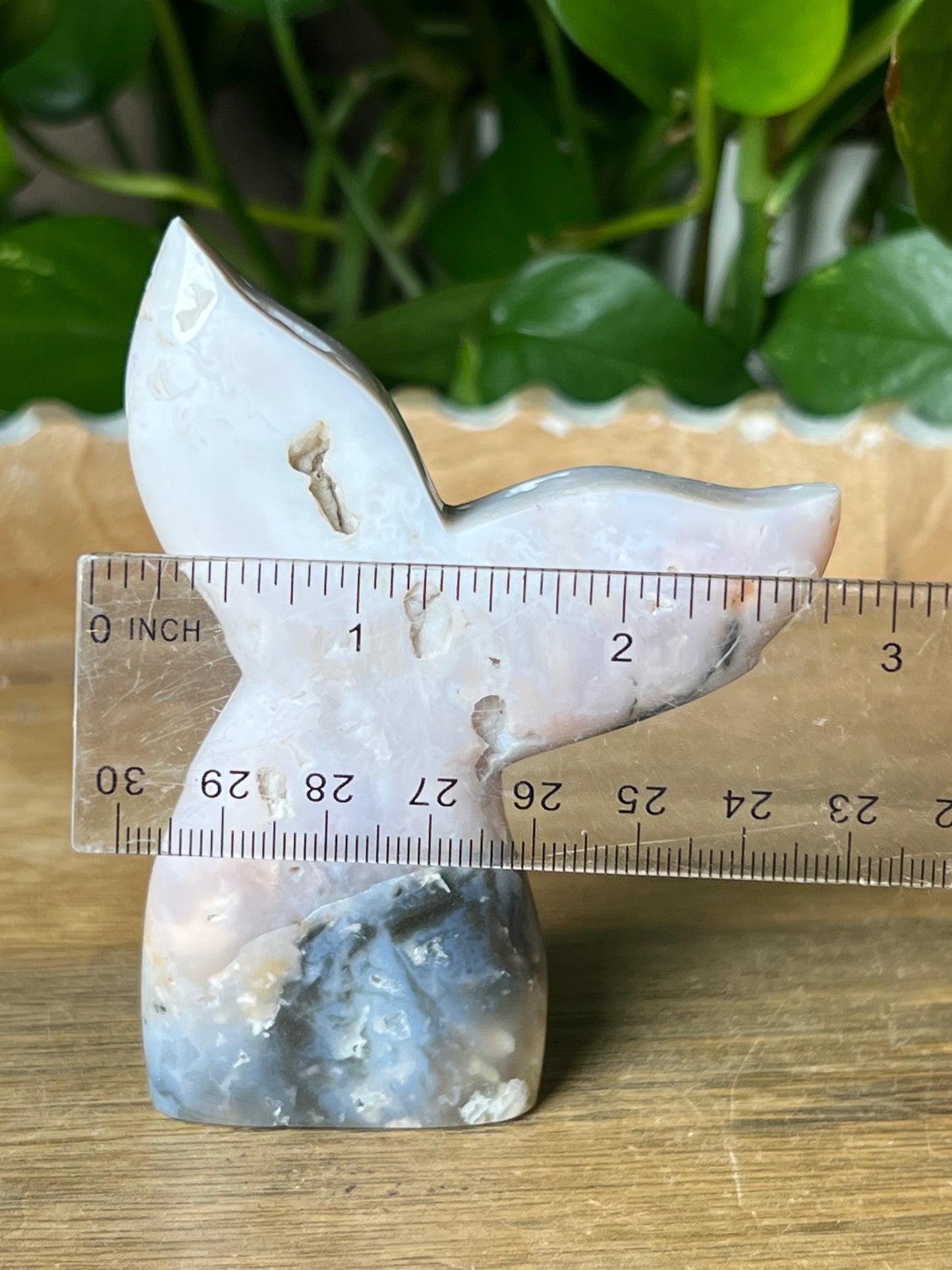 Rainbow Plume Agate Tail: RA