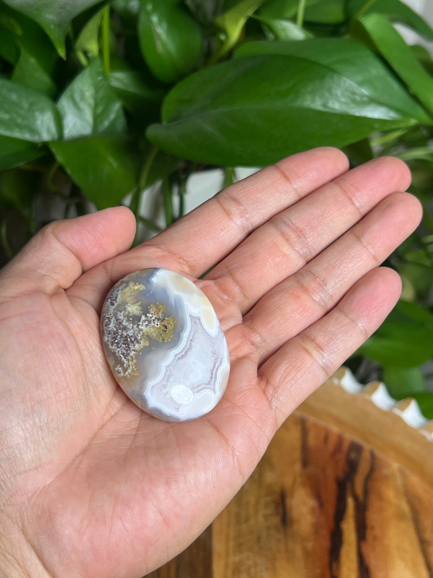 Scenic Moss Agate Palmstone: BH