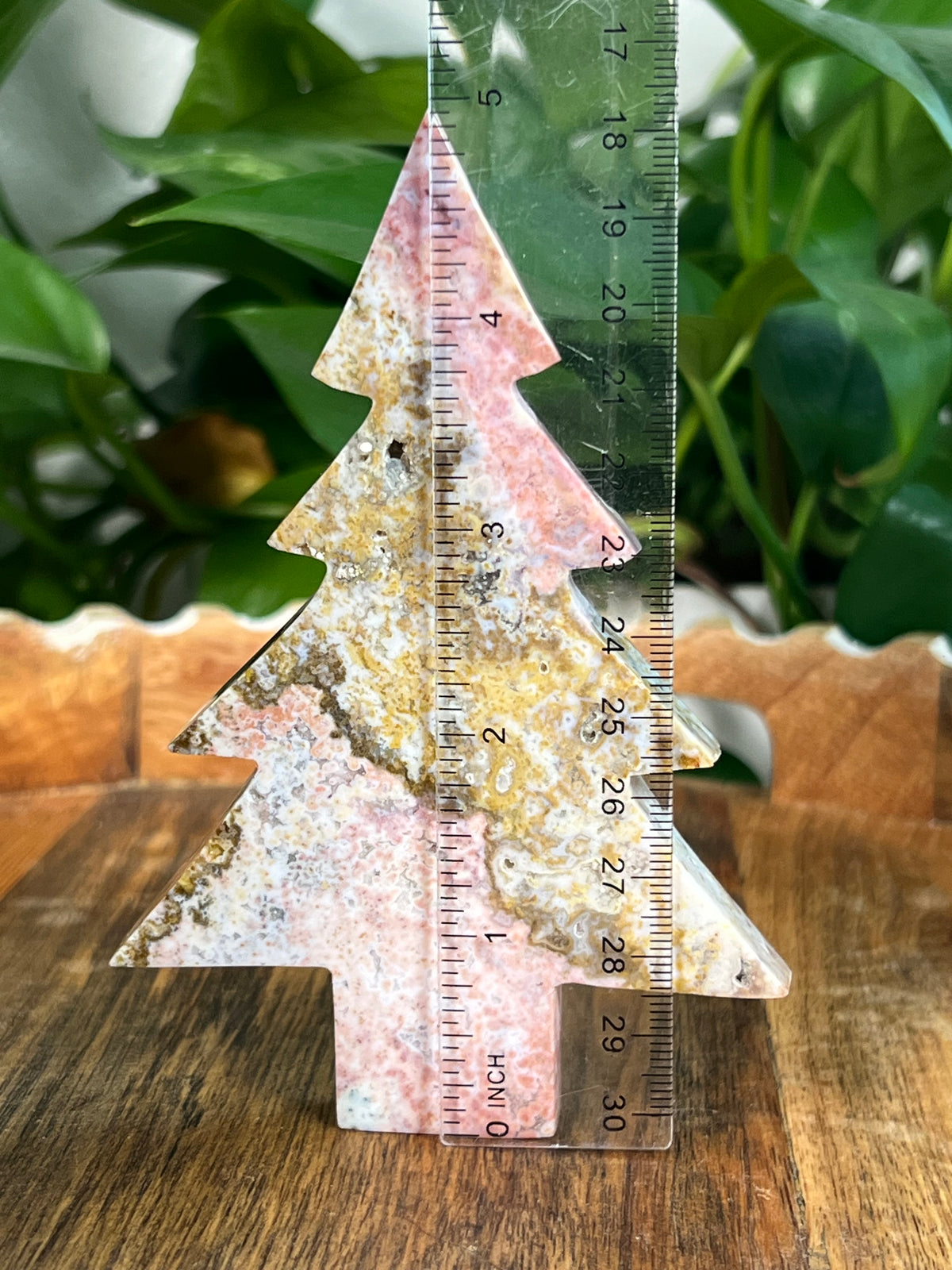Sea Jasper Tree: AB