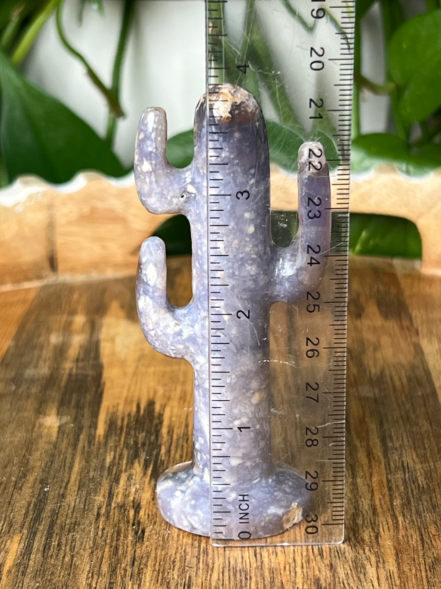 Purple Chalcedony Cactus