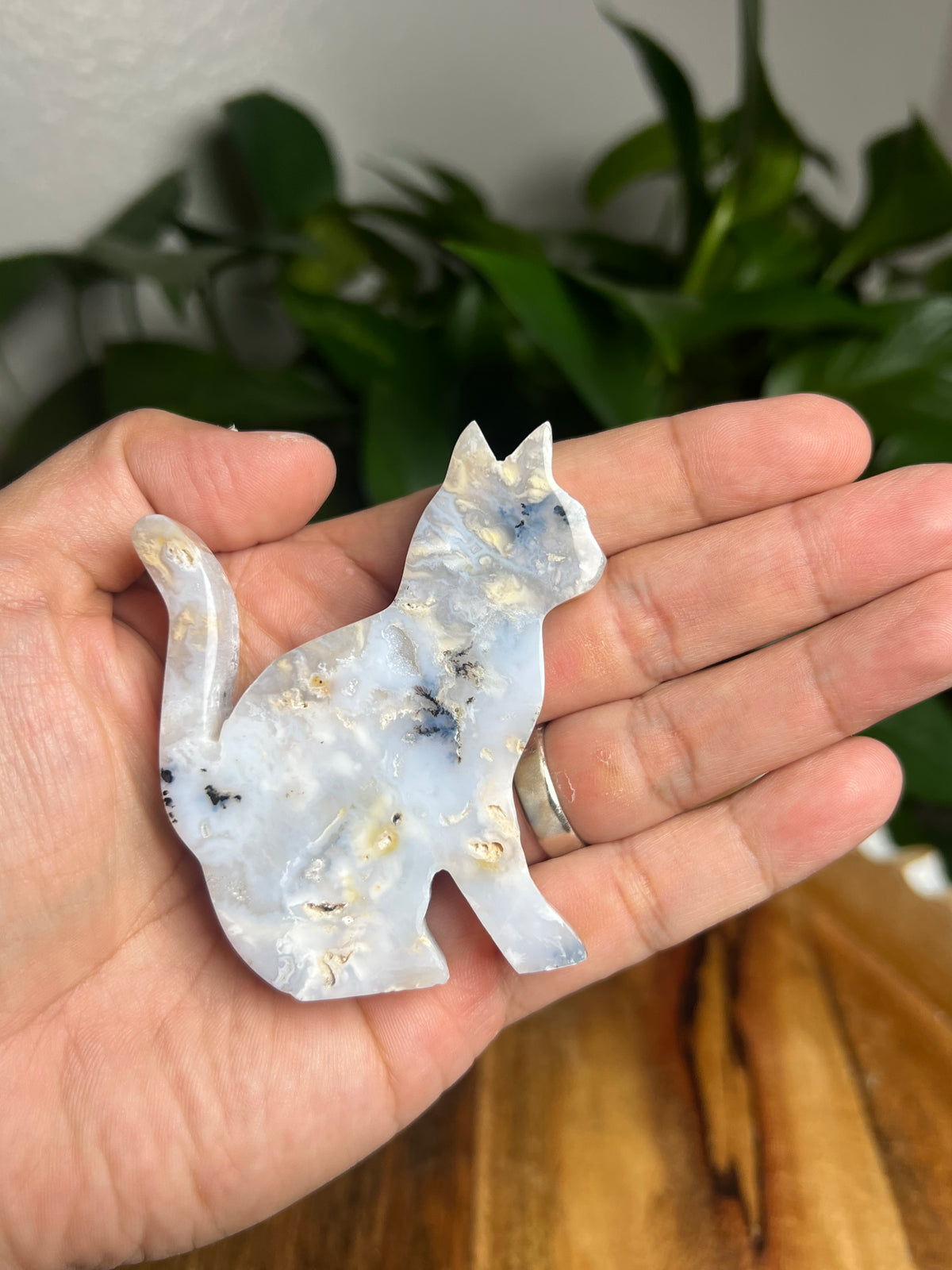Dendritic Tiger Agate Cat: PC