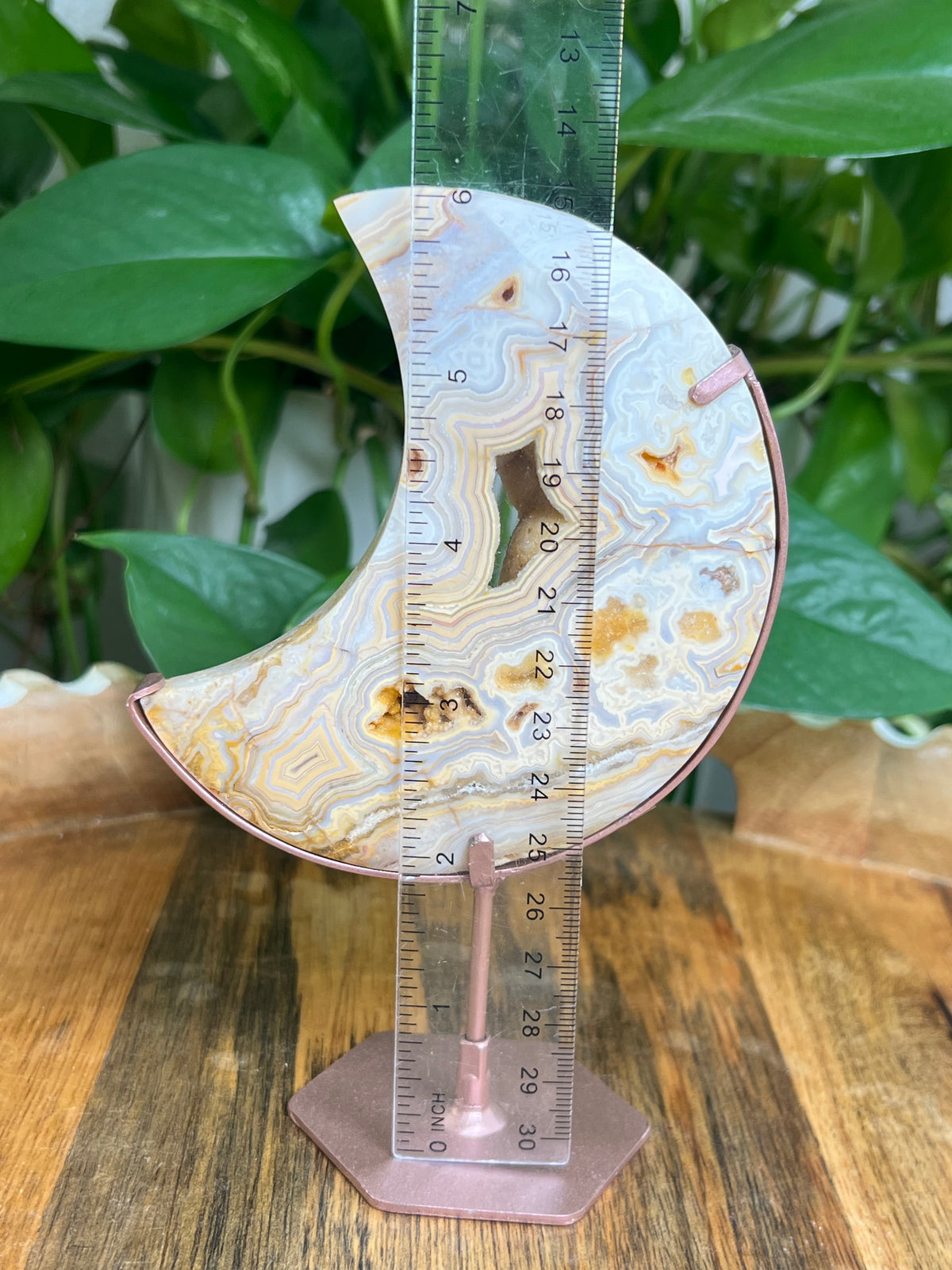 Yellow Crazy Lace Agate Moon: