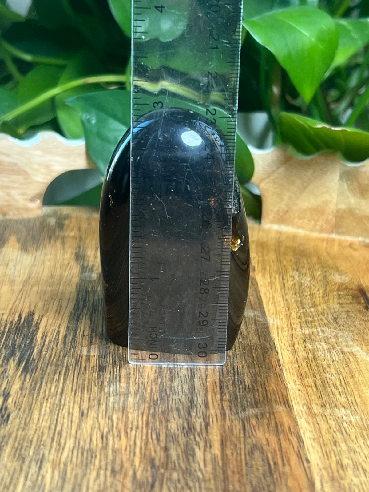 Blue Amber Freeform: W