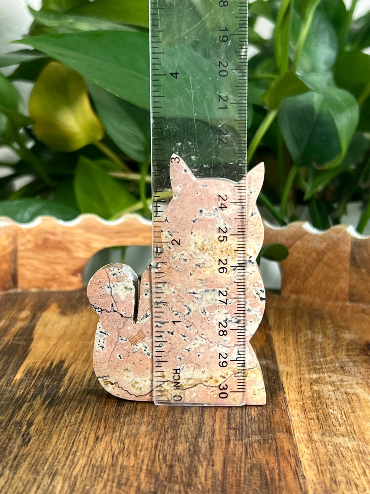 Peachy Pink Jasper Cats