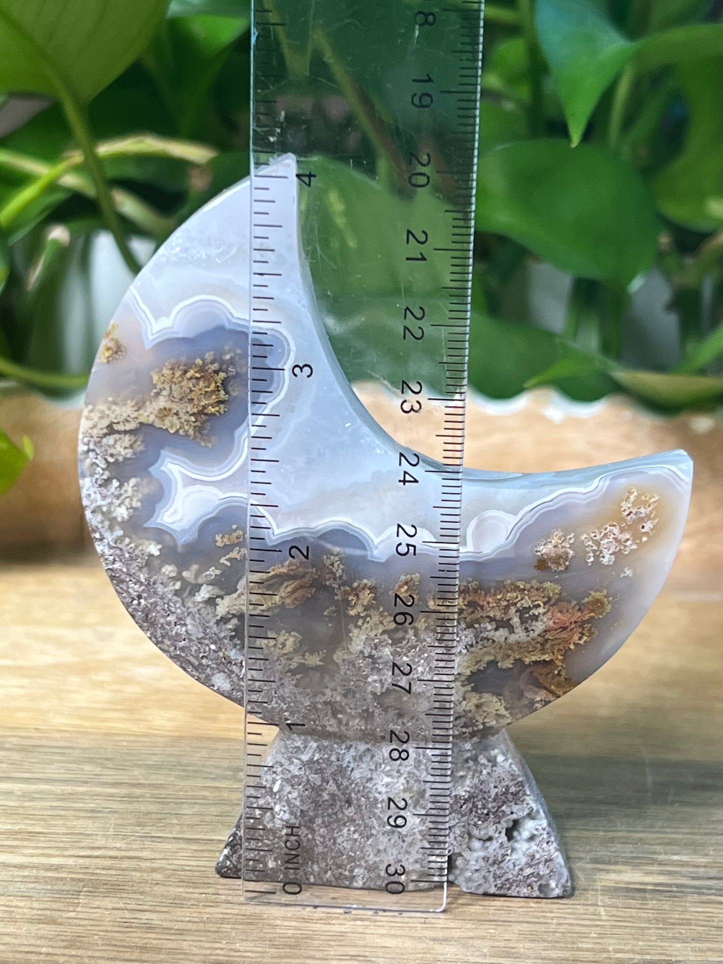 Scenic Moss Agate Moon Stand: LD