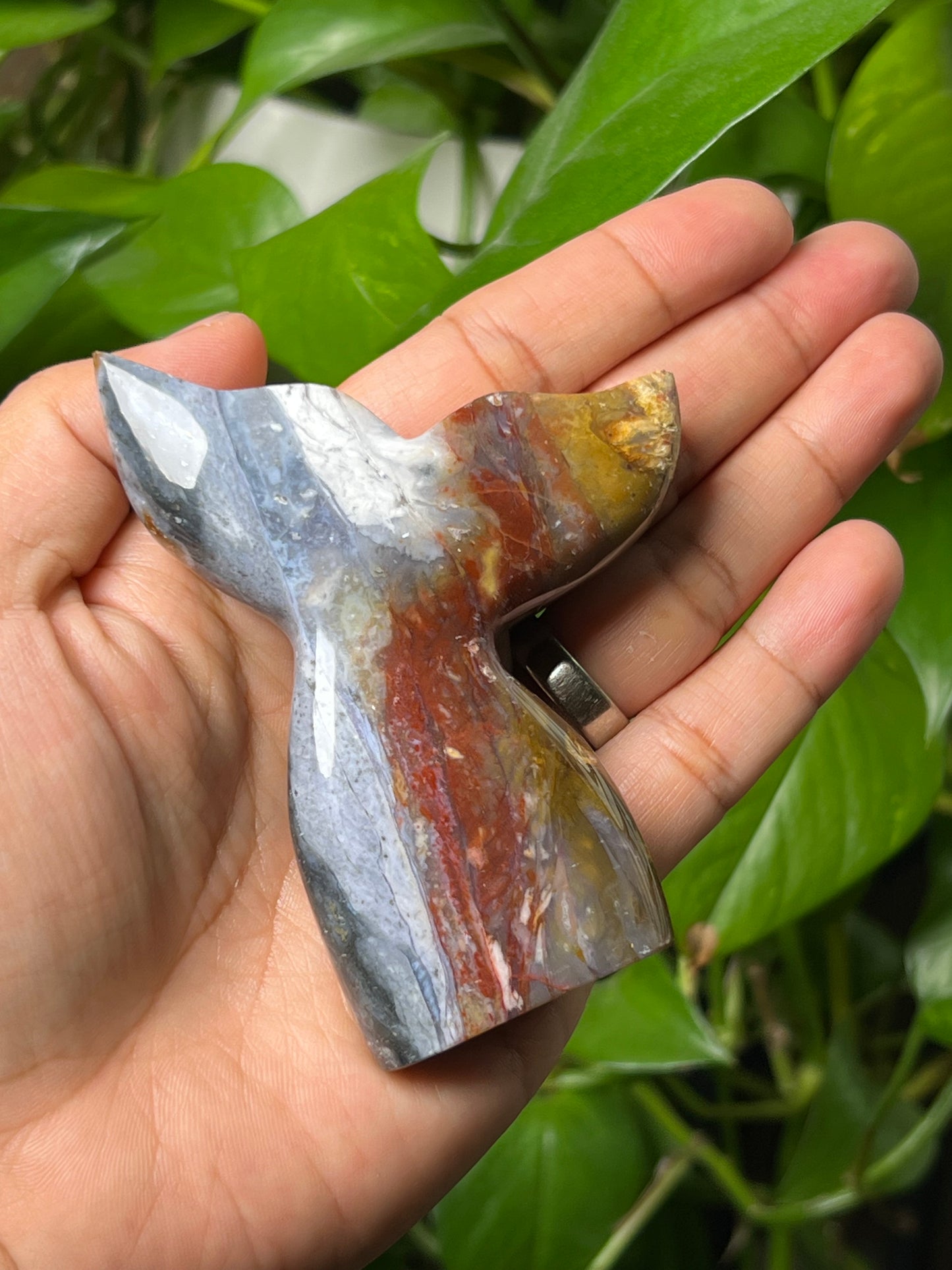 River Jasper Tail