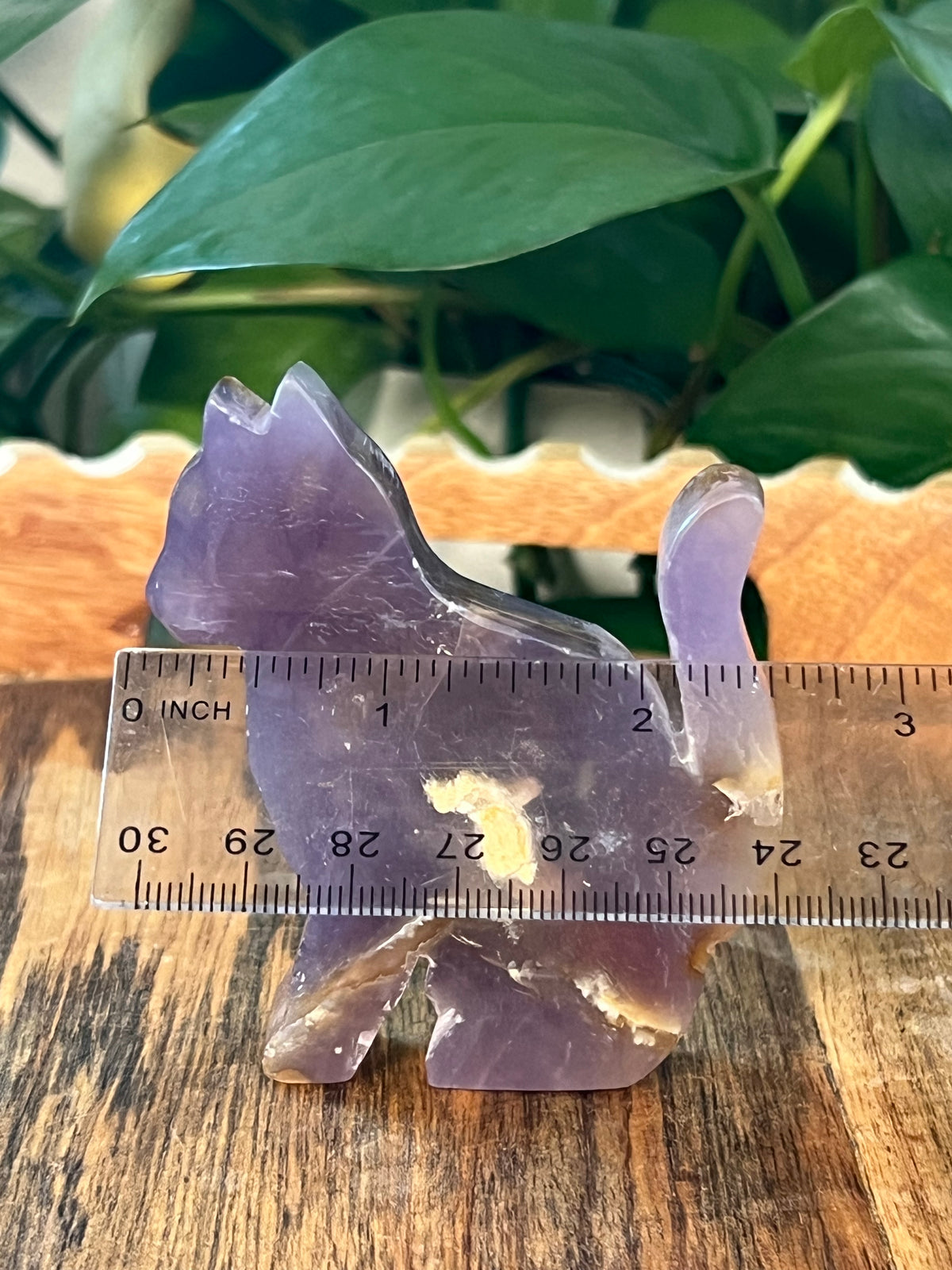 Purple Chalcedony Cats