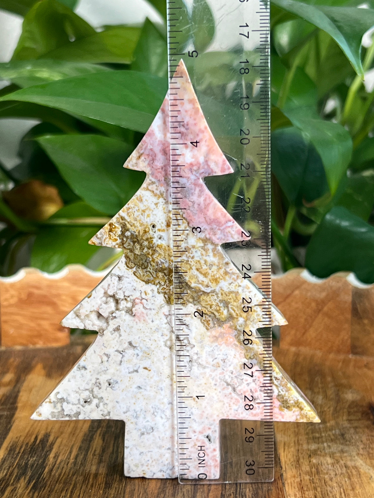 Sea Jasper Tree: AA