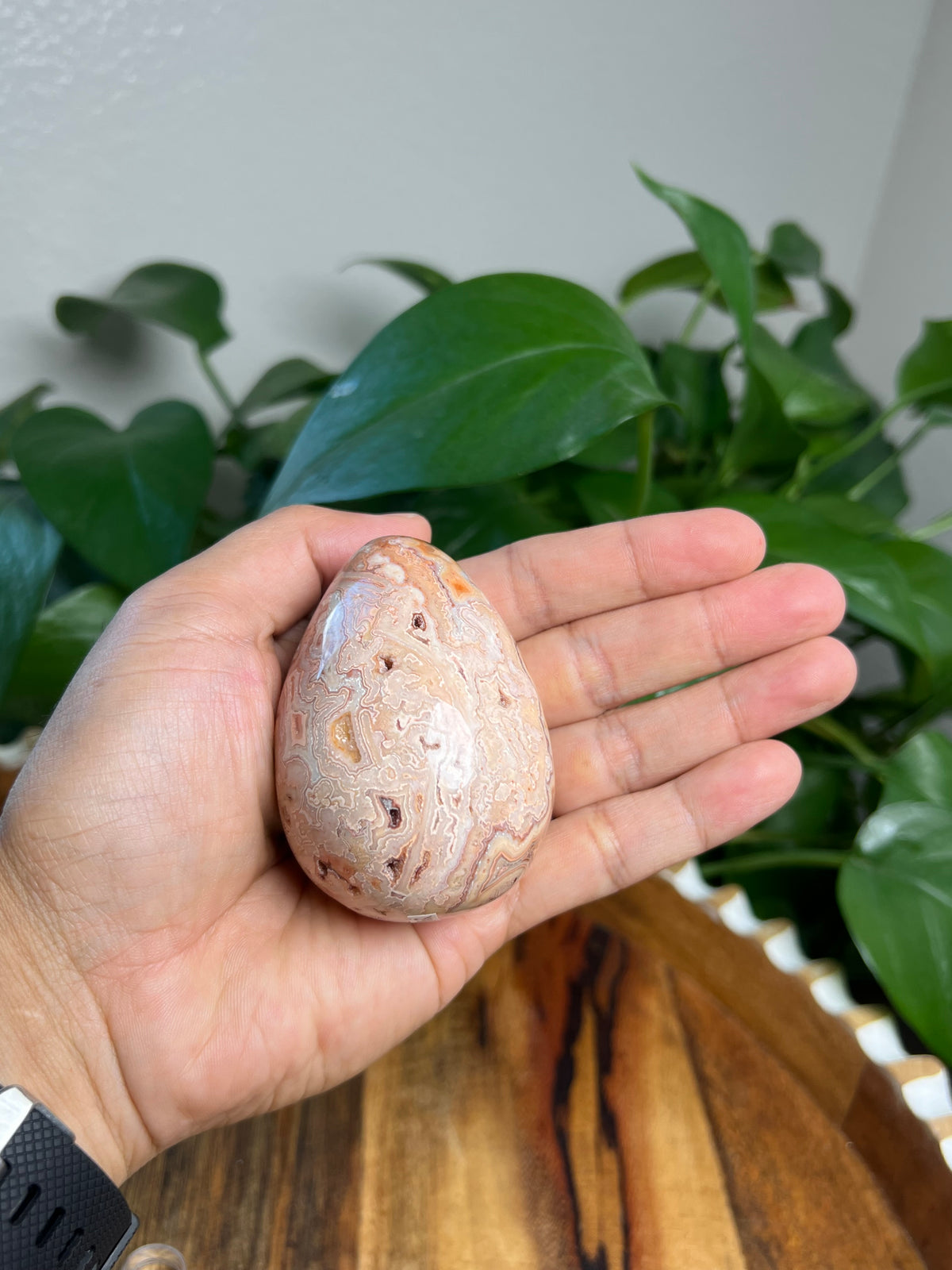 Crazy Lace Agate Egg: EQ